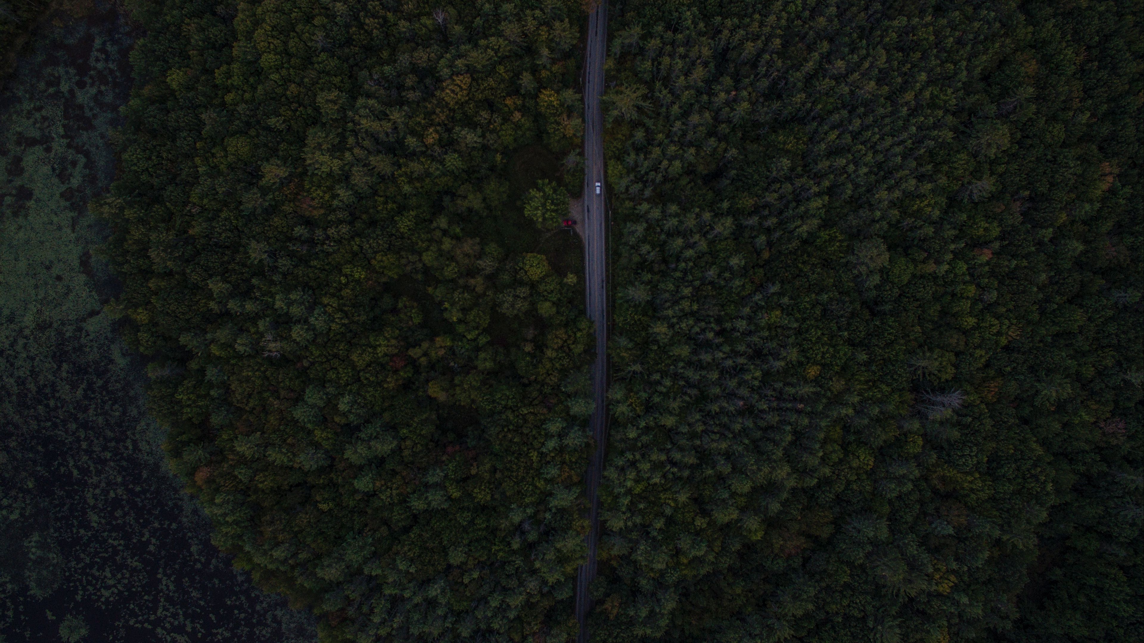 road, trees, aerial view, forest, 4k, HD Wallpaper