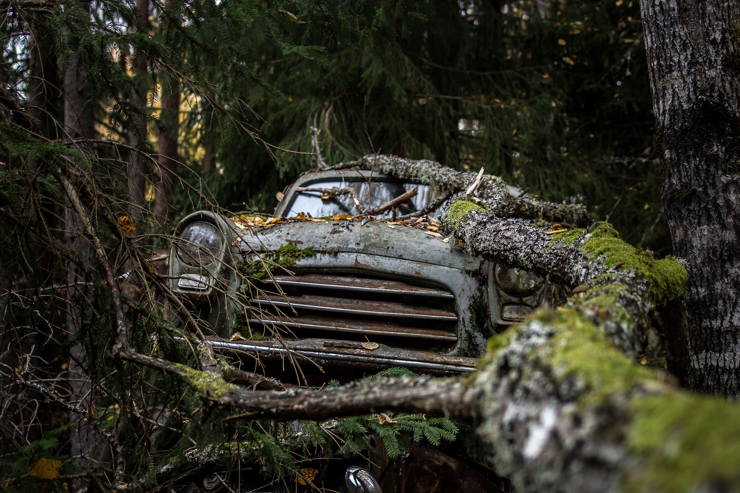 car, vehicle, wreck, outdoors, HD Wallpaper