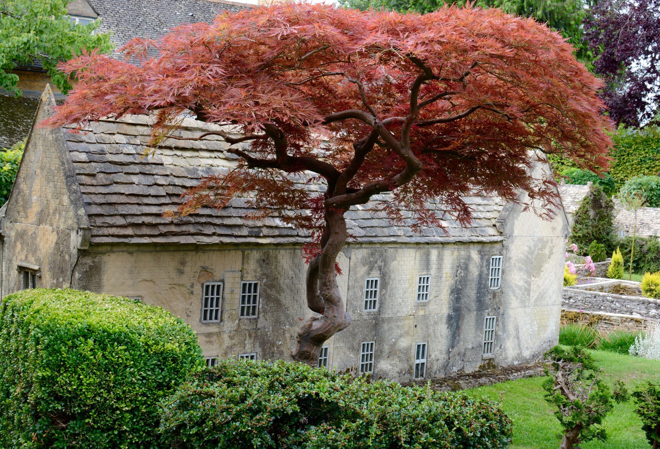 architecture, house, Costwolds, village, England, UK, trees, plants, grass, old building, HD Wallpaper