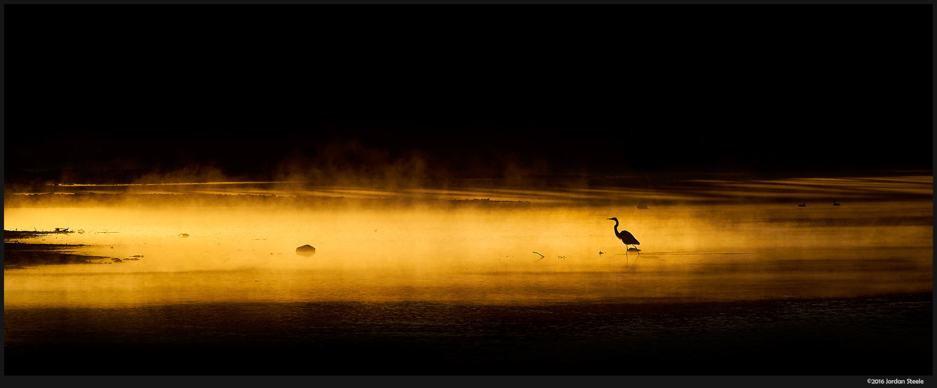 birds, nature, cranes (bird), silhouette, HD Wallpaper