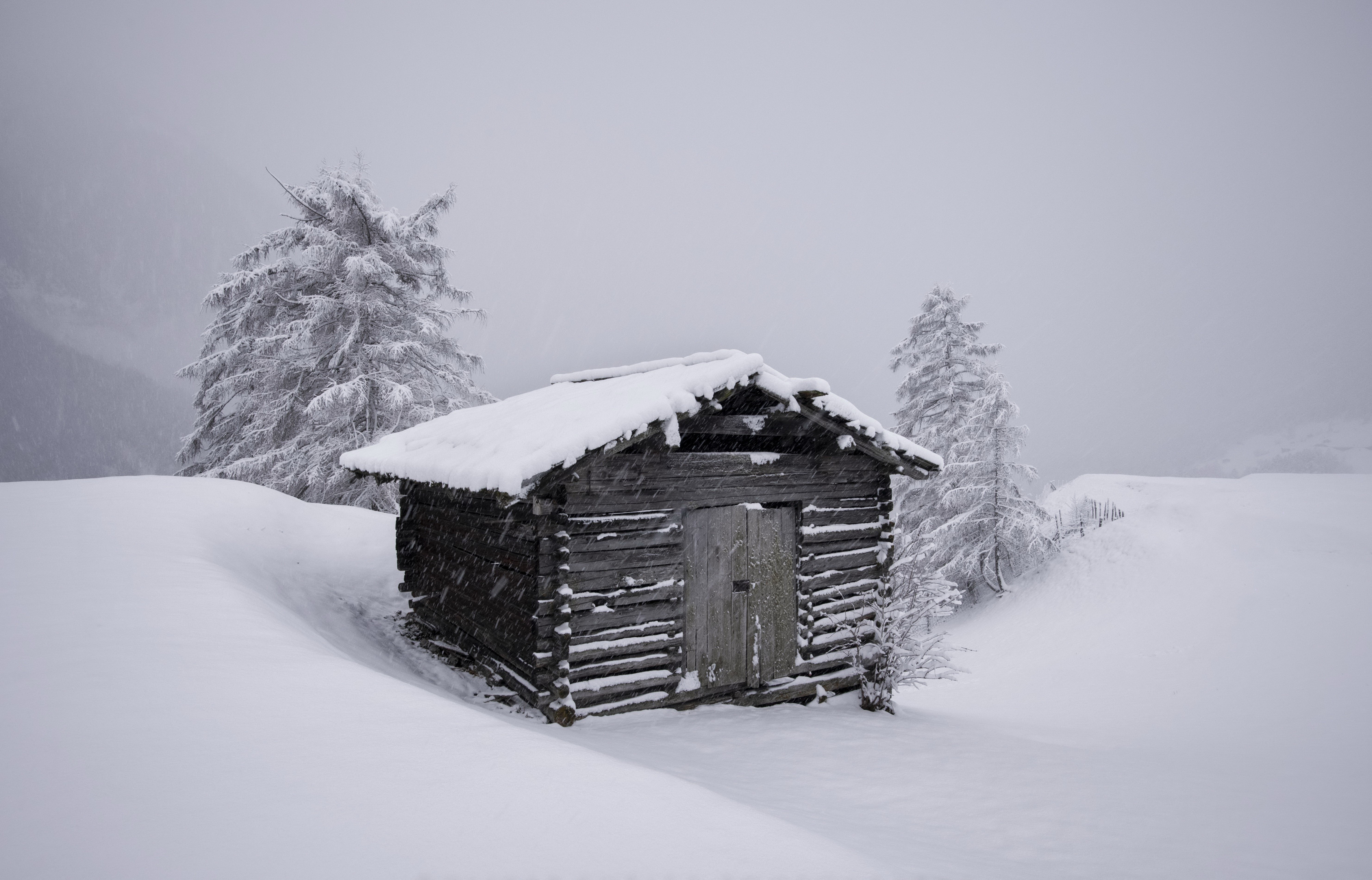 nature, landscape, winter, snow, cold, monochrome, pine trees, snowing, cabin, HD Wallpaper