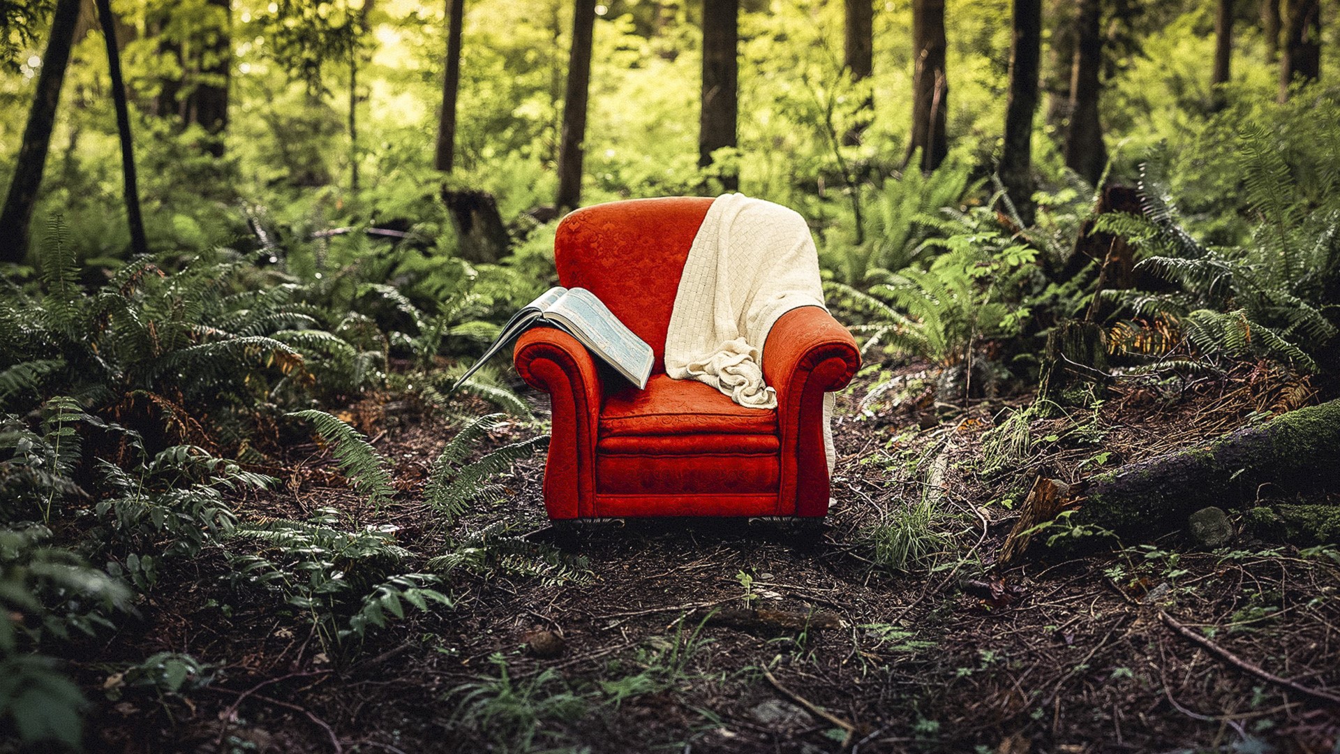 forest, chair, red, leaves, nature, outdoors, plants, trees, HD Wallpaper