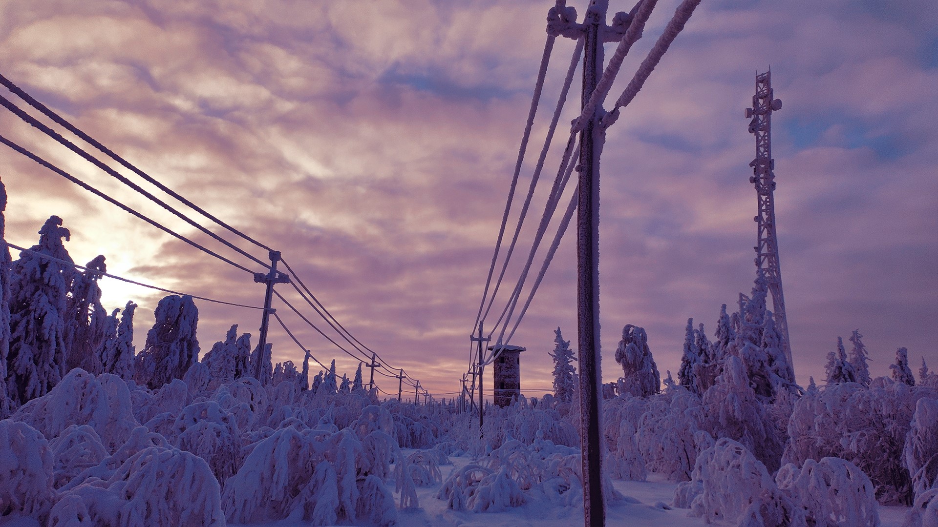 snow, winter, sky, sunset, pillar, trees, landscape, nature, violet, HD Wallpaper