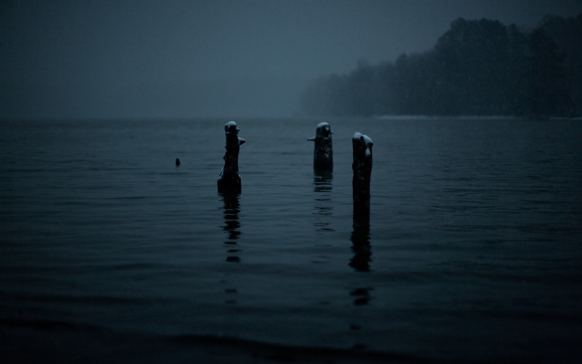 dark, gloomy, lake, snowing, mist, winter, HD Wallpaper