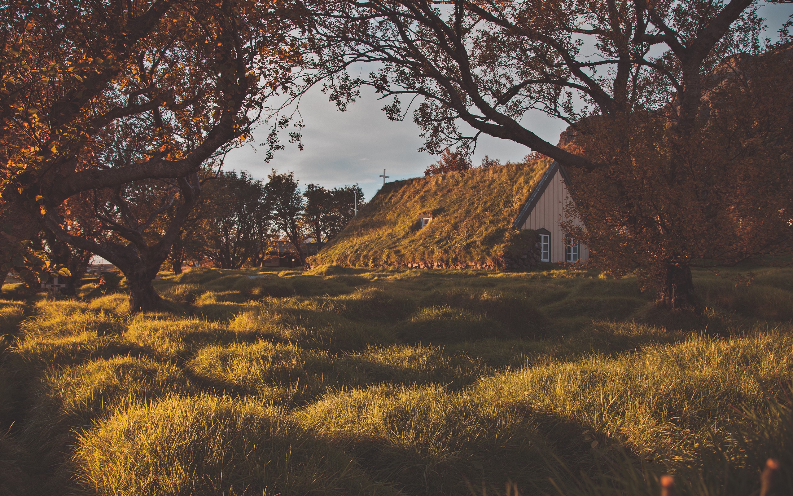 church, nature, grass, moss, dappled sunlight, trees, evening, HD Wallpaper