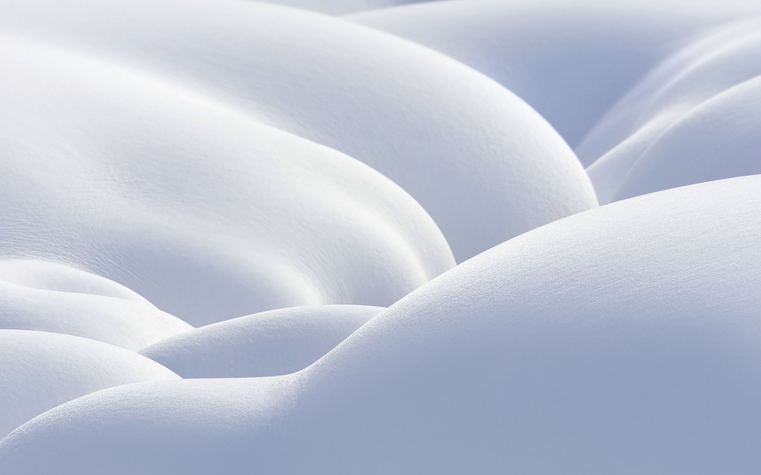 nature, winter, snow, white, simple, daylight, HD Wallpaper