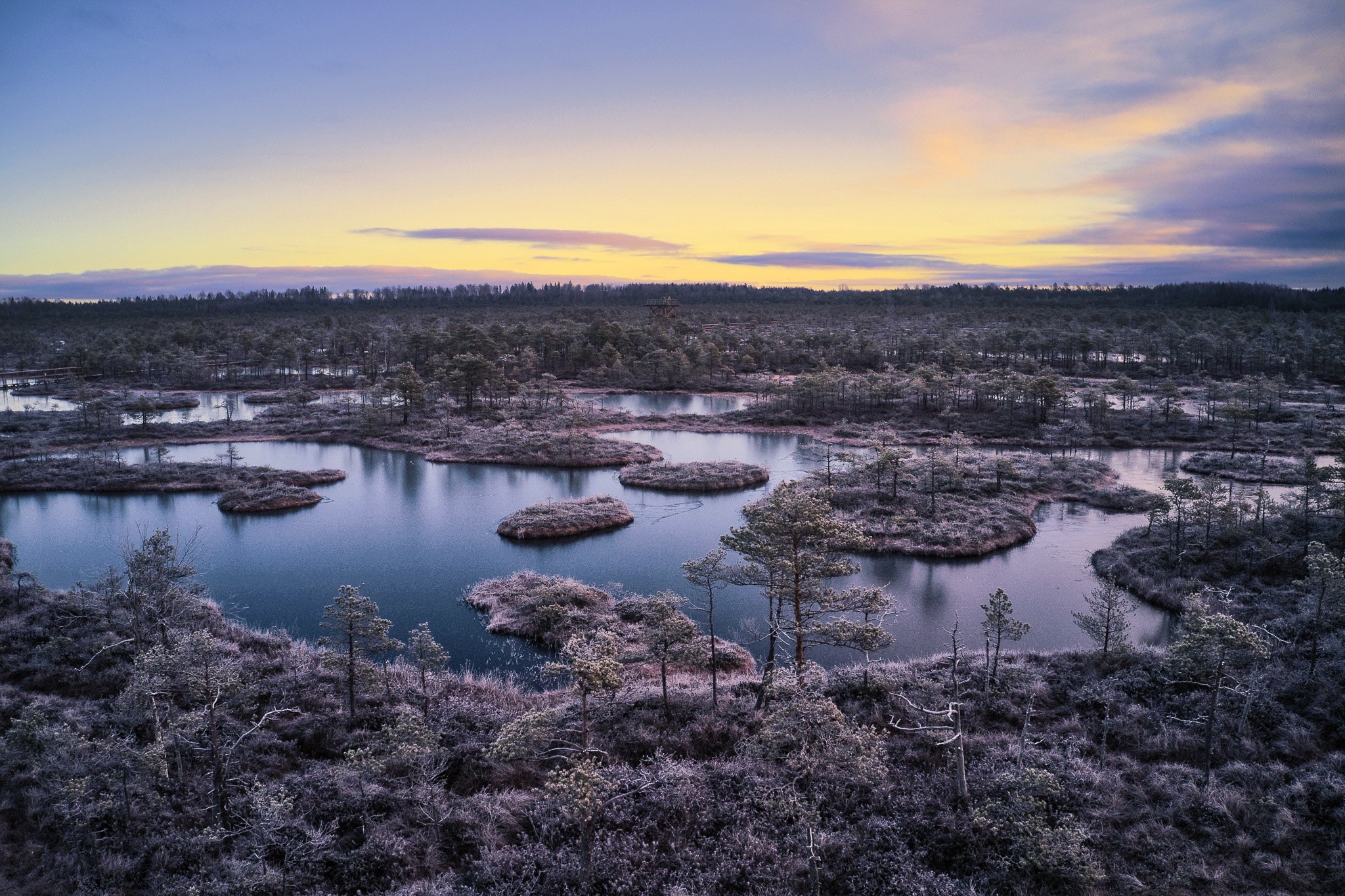 winter, nature, landscape, sky, Estonia, lake, swamp, HD Wallpaper