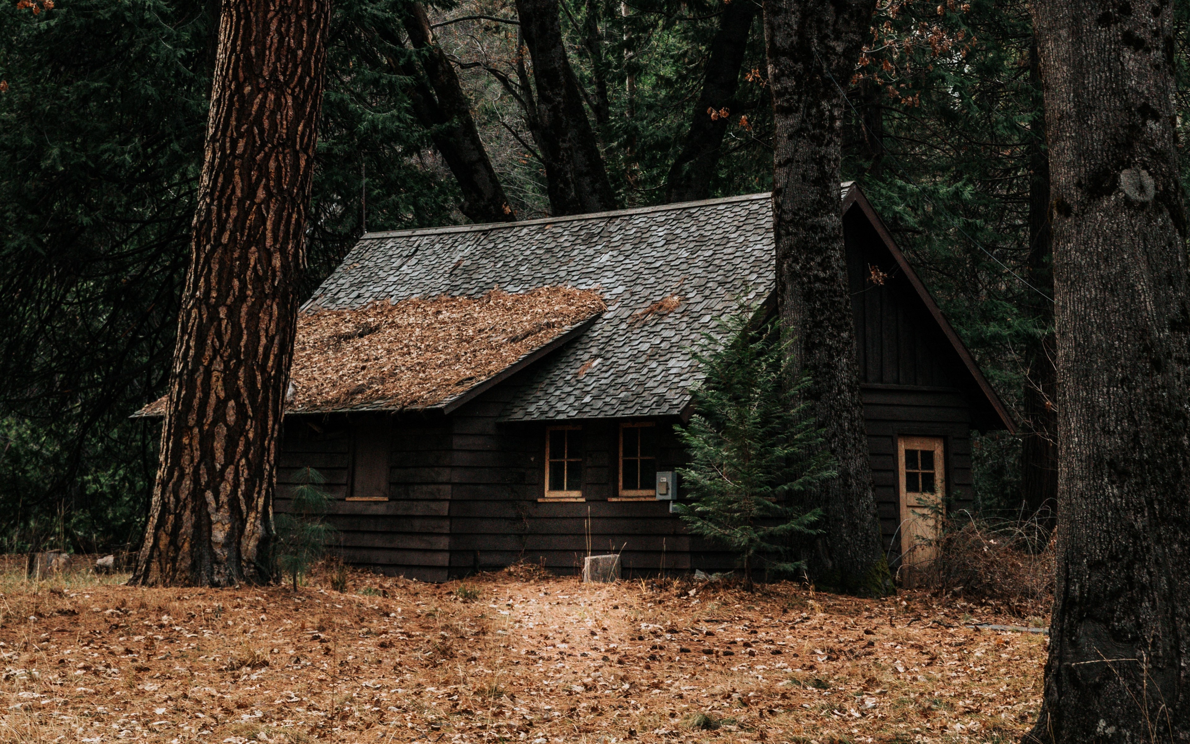 landscape, nature, mountains, trees, forest, building, house, leaves, cabin, HD Wallpaper
