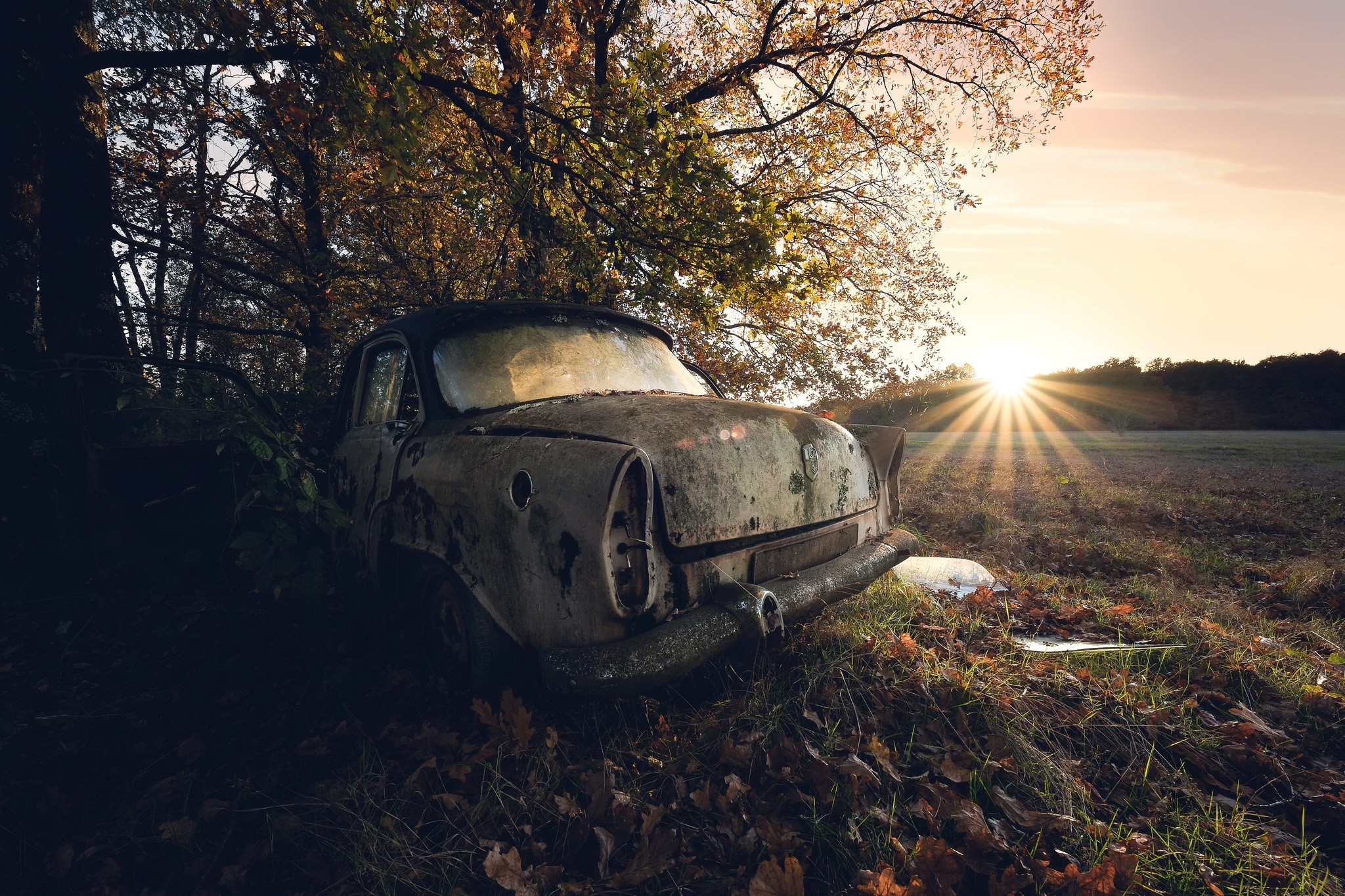 car, wreck, vehicle, trees, sunlight, HD Wallpaper