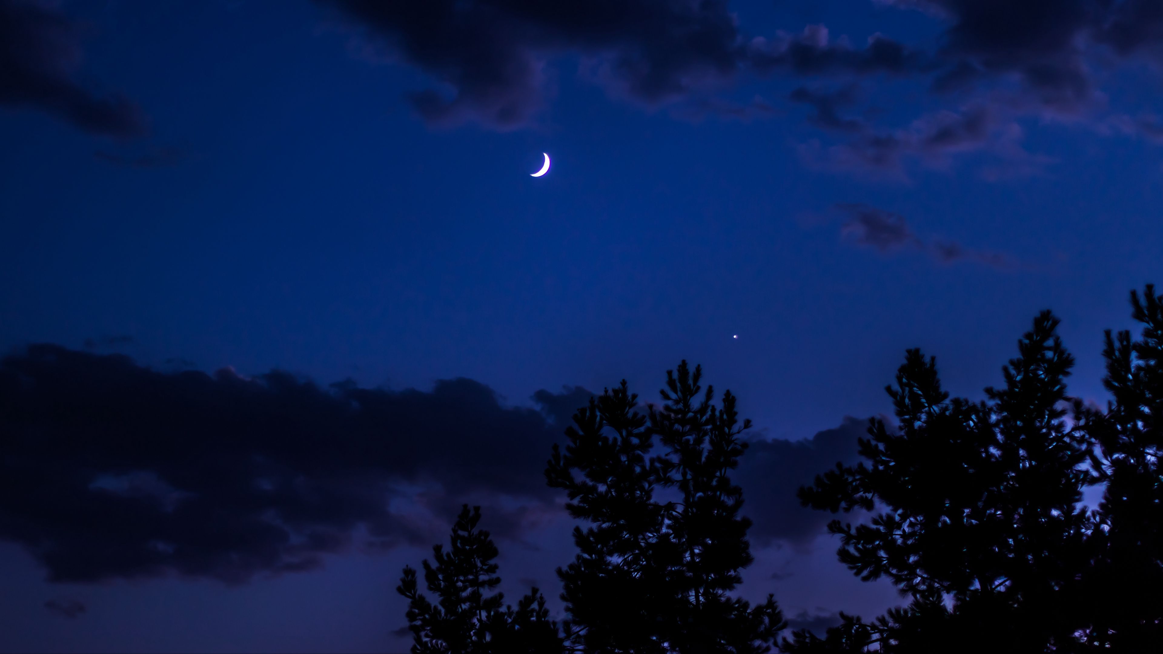night, moon, sky, clouds, trees, 4k, HD Wallpaper