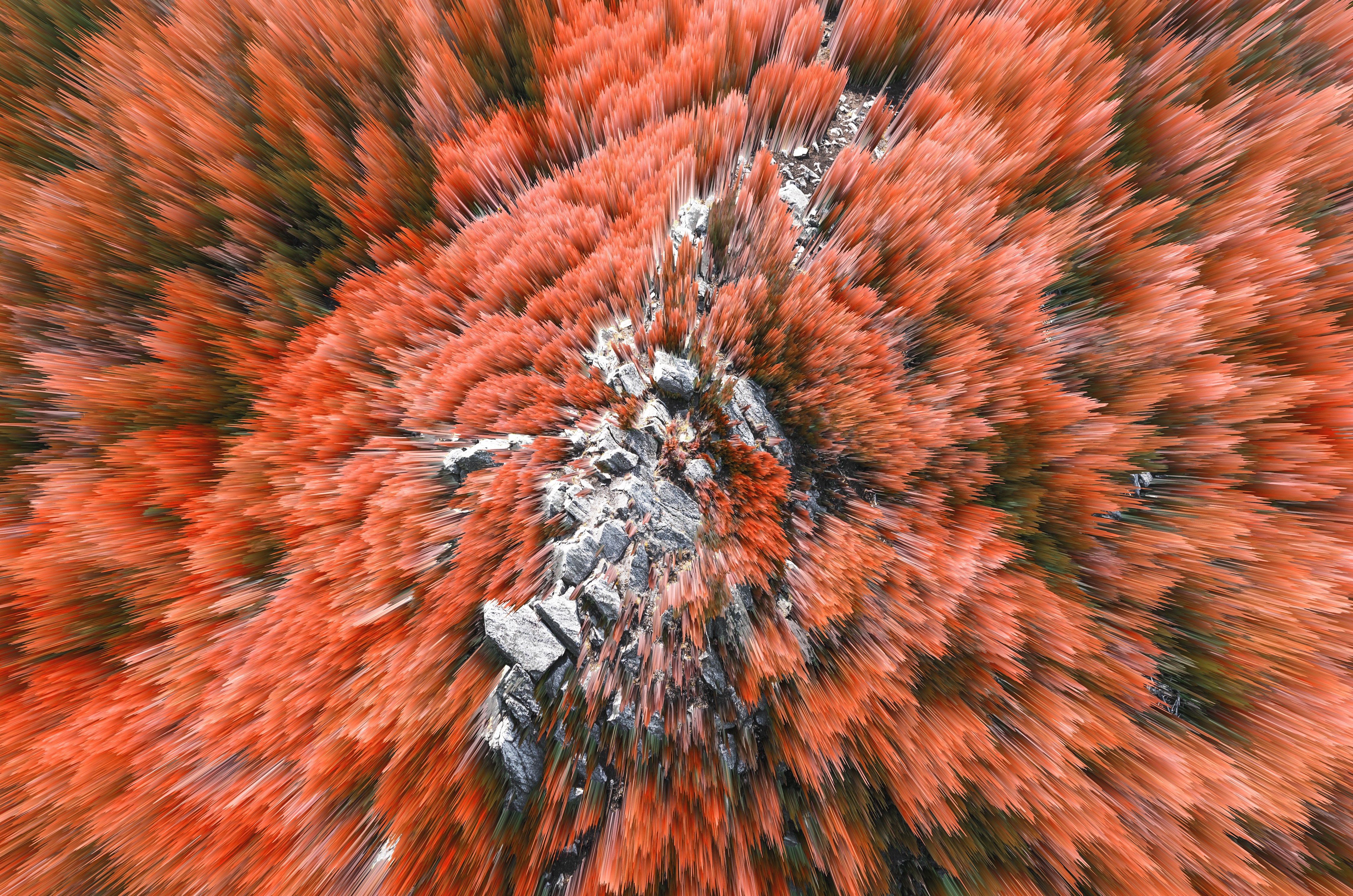 abstract, 3D Abstract, Cinema 4D, nature, spikes, rocks, graphic design, artwork, CGI, motion blur, spike, HD Wallpaper