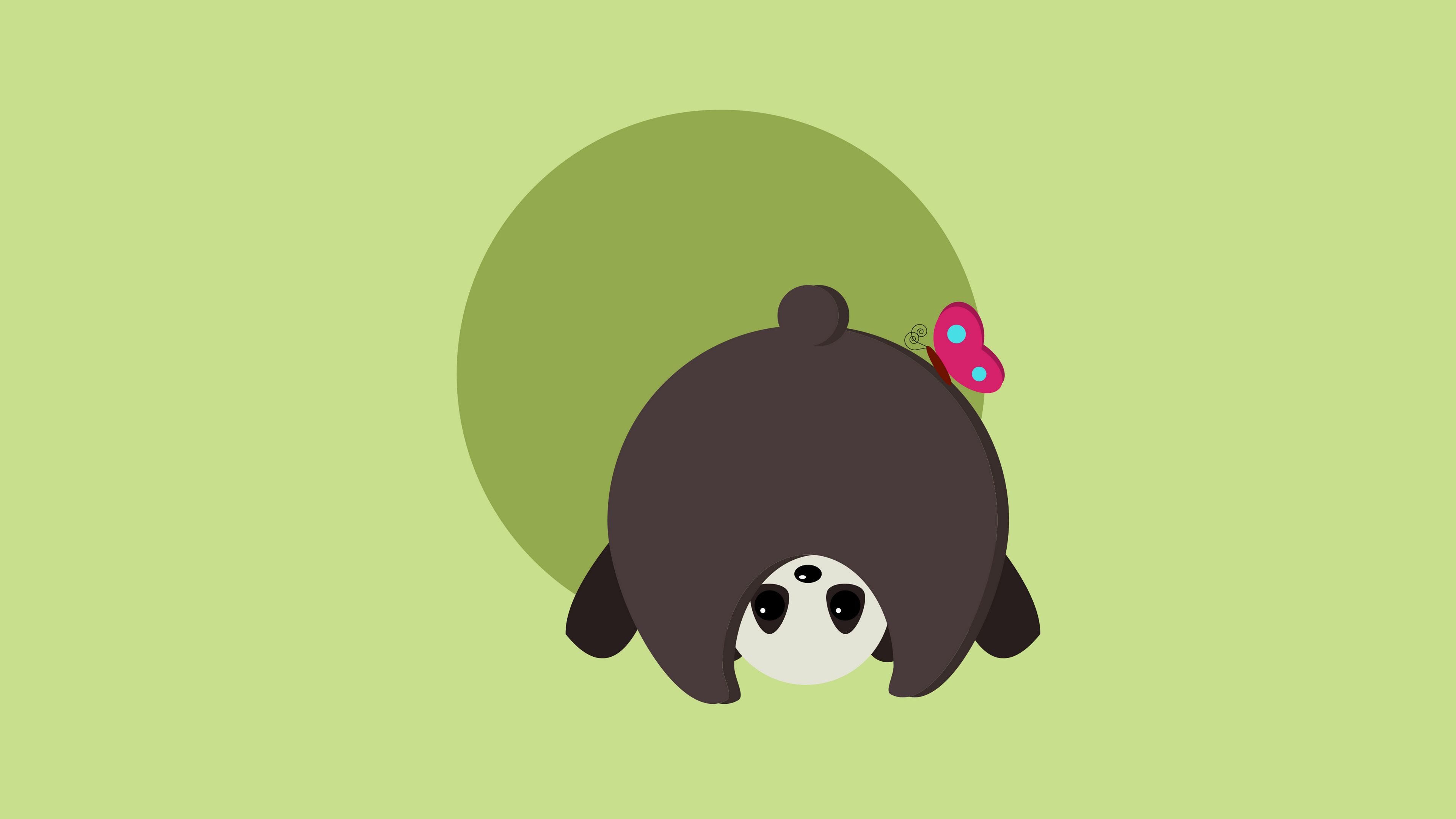 panda, funny, butterfly, humor, 4k, HD Wallpaper