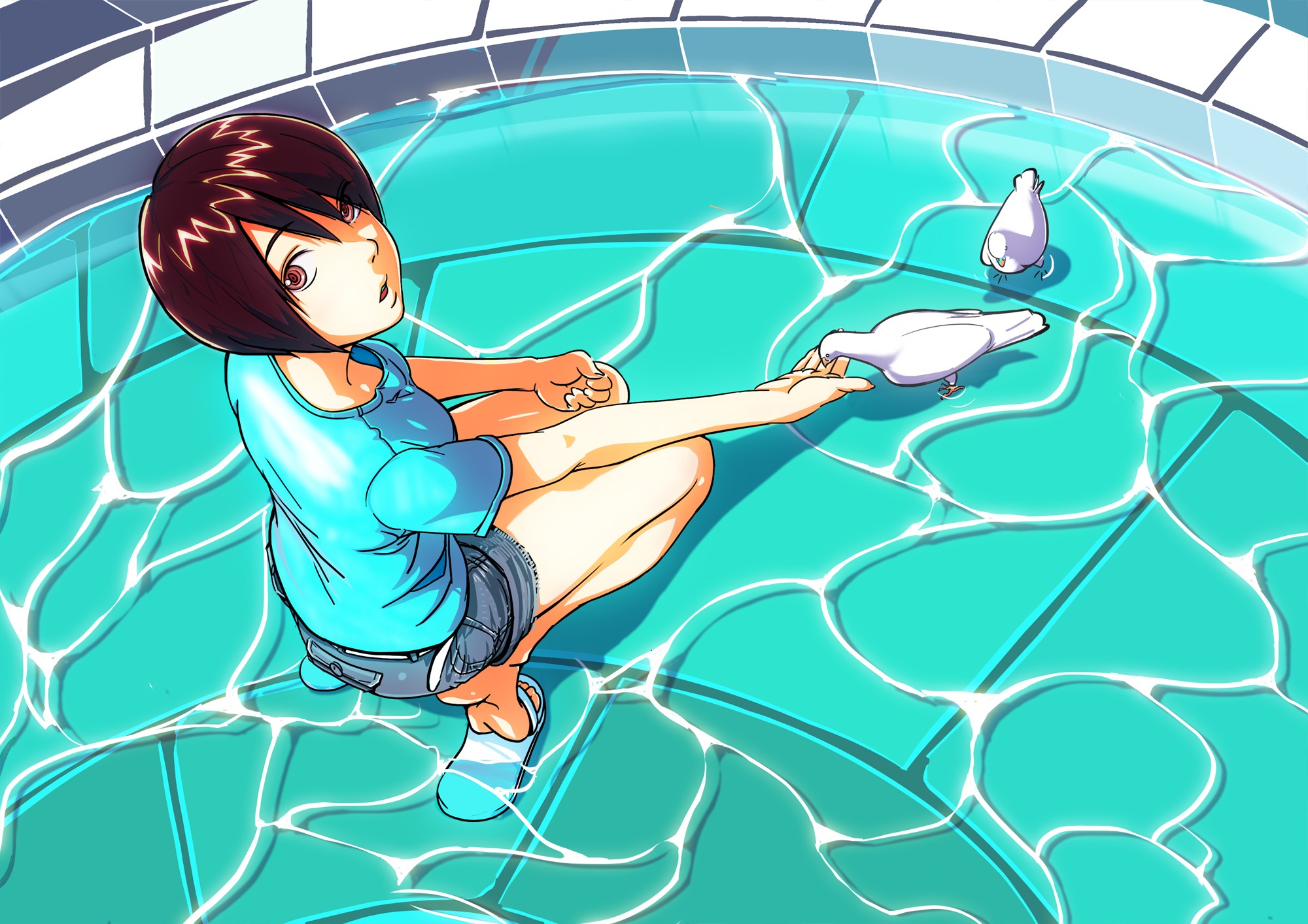 anime girls, anime, high angle, HD Wallpaper