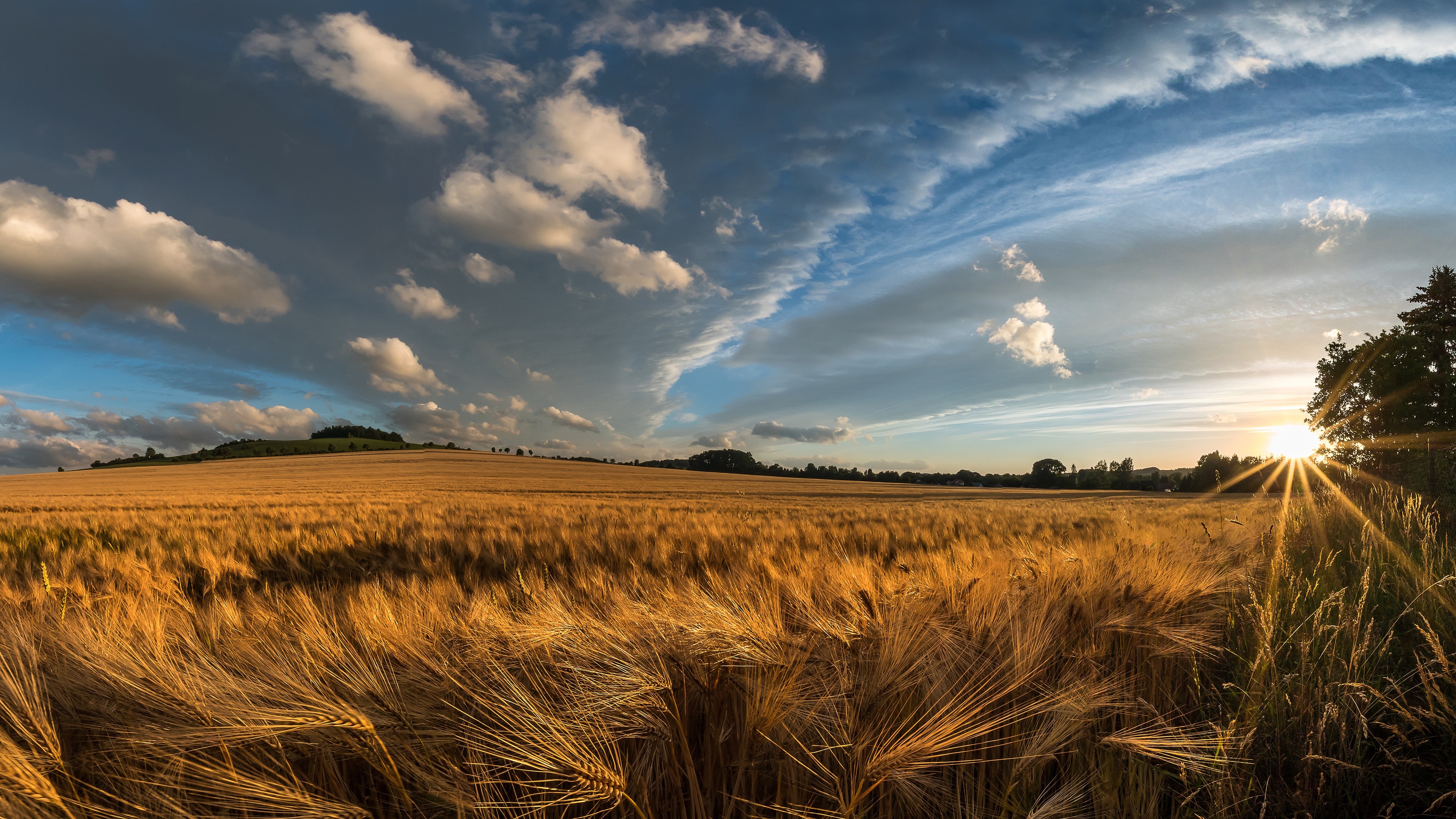 nature, sky, landscape, field, blue, clouds, HD Wallpaper