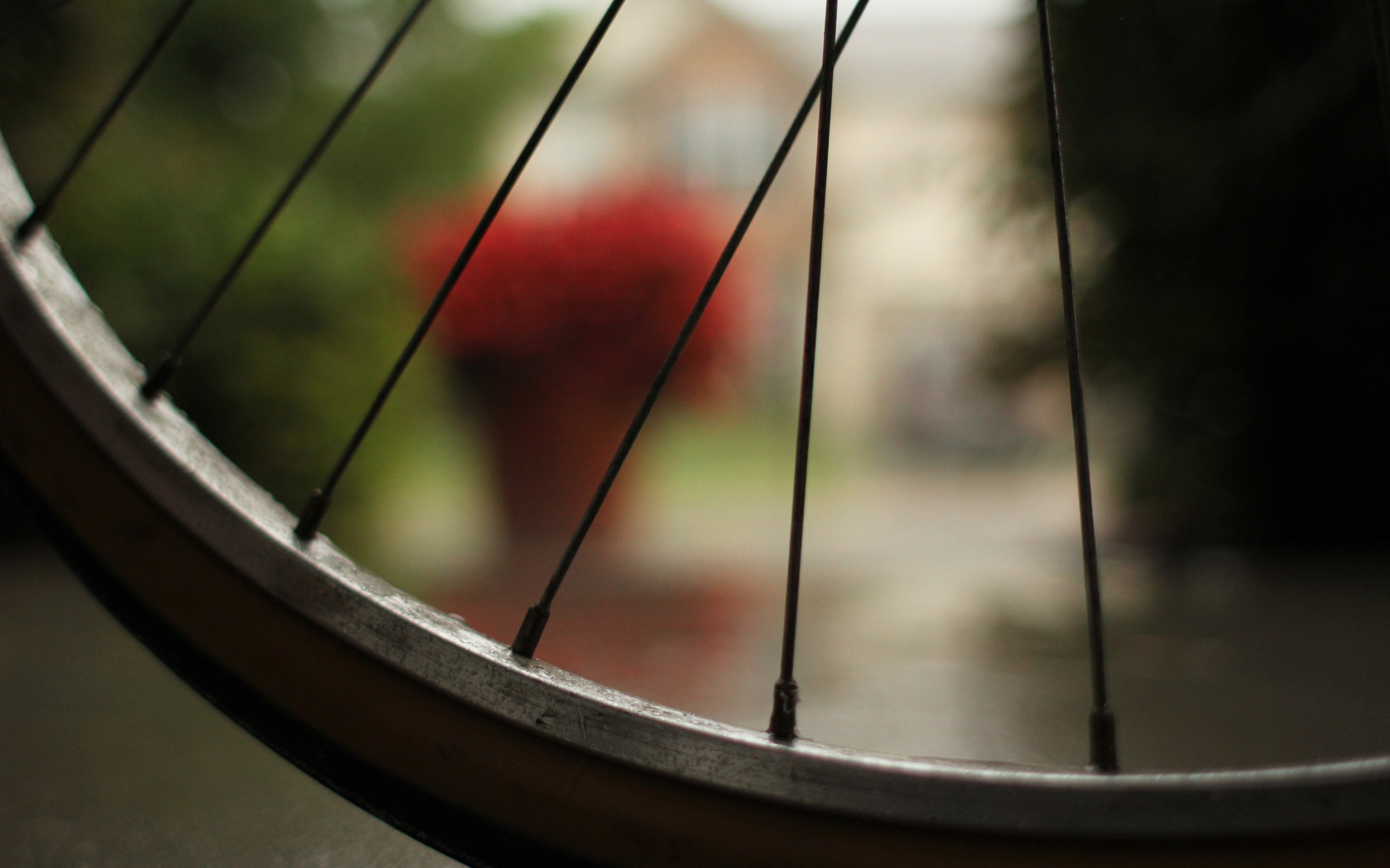 bicycle, tired, outdoors, macro, HD Wallpaper