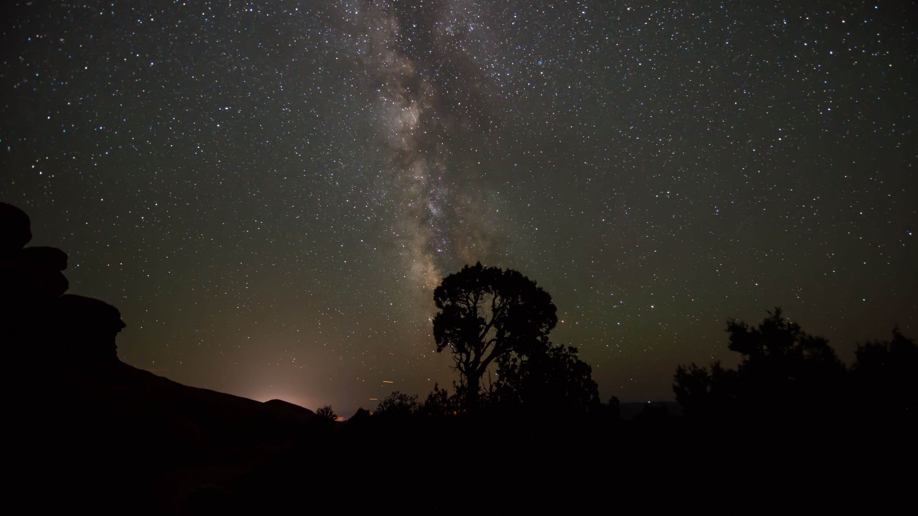 starry sky, milky way, trees, night, silhouettes, outlines, dark, 4k, HD Wallpaper