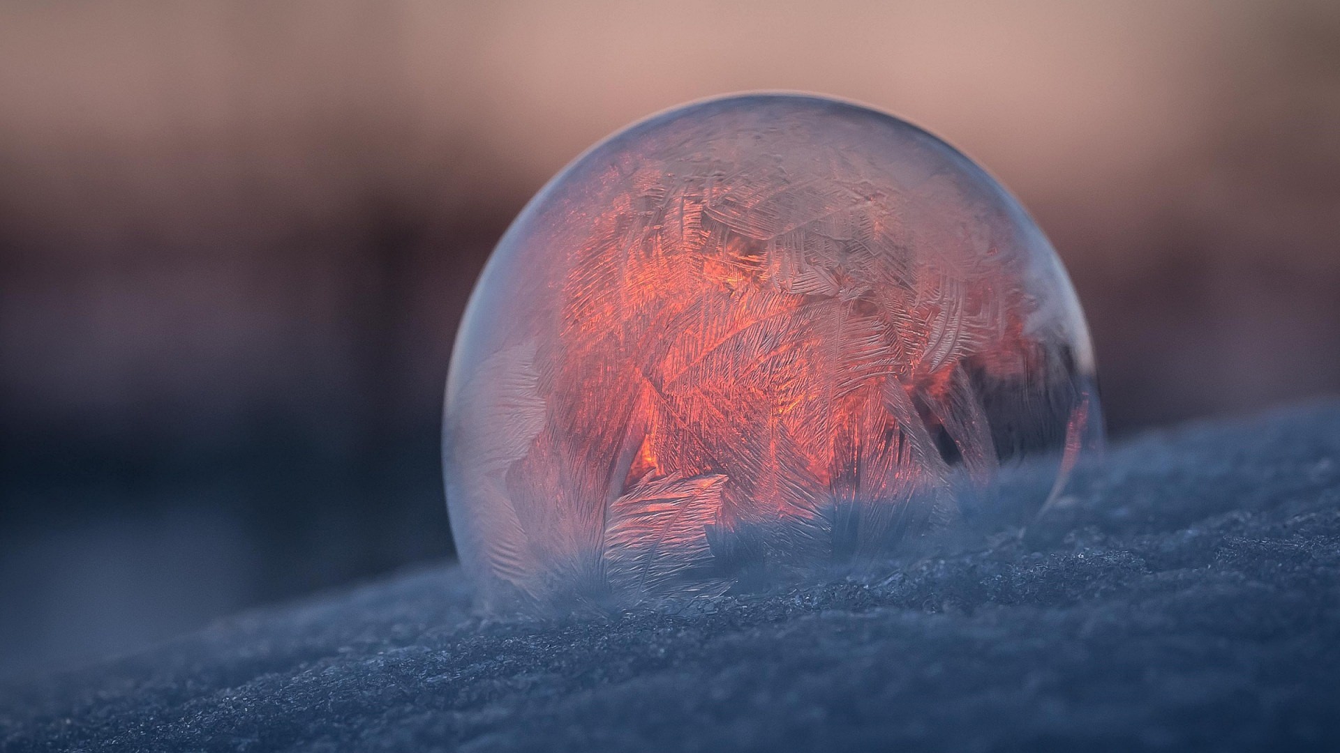 winter, snow, pattern, sphere, sunset, HD Wallpaper
