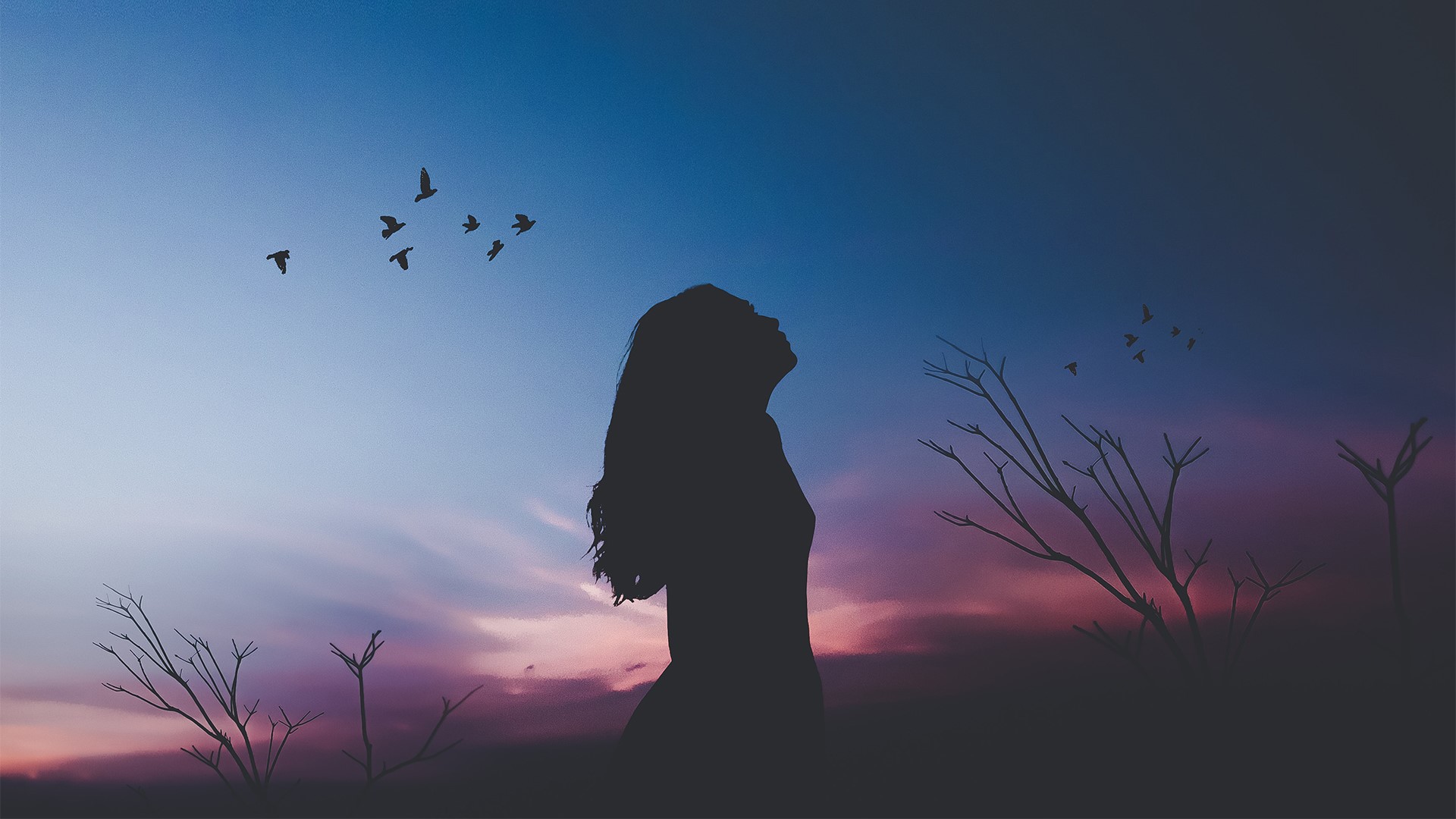 women, silhouette, birds, night, dark, sky, blue, solice, HD Wallpaper