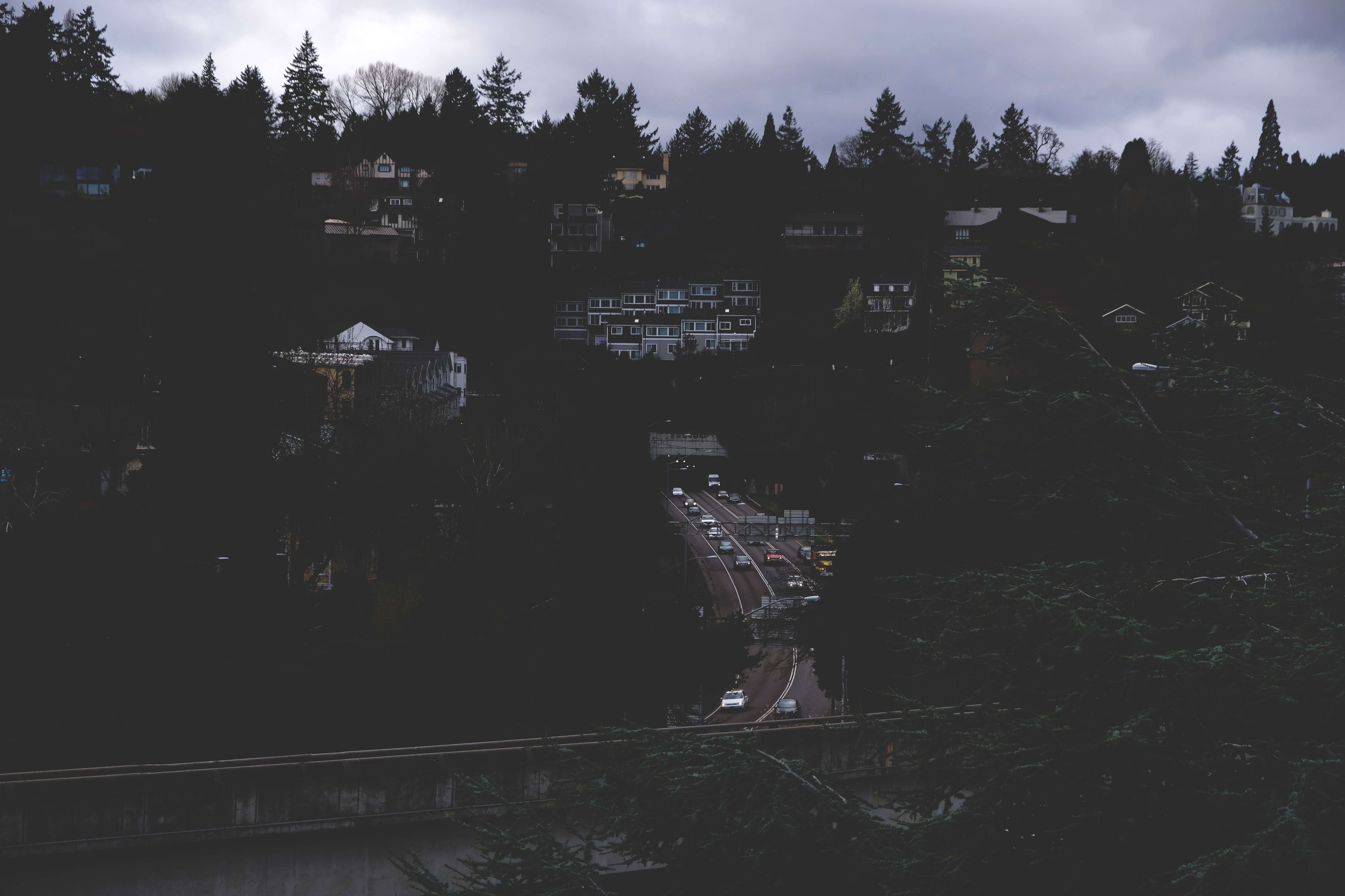 forest, road, dark, town, traffic, HD Wallpaper