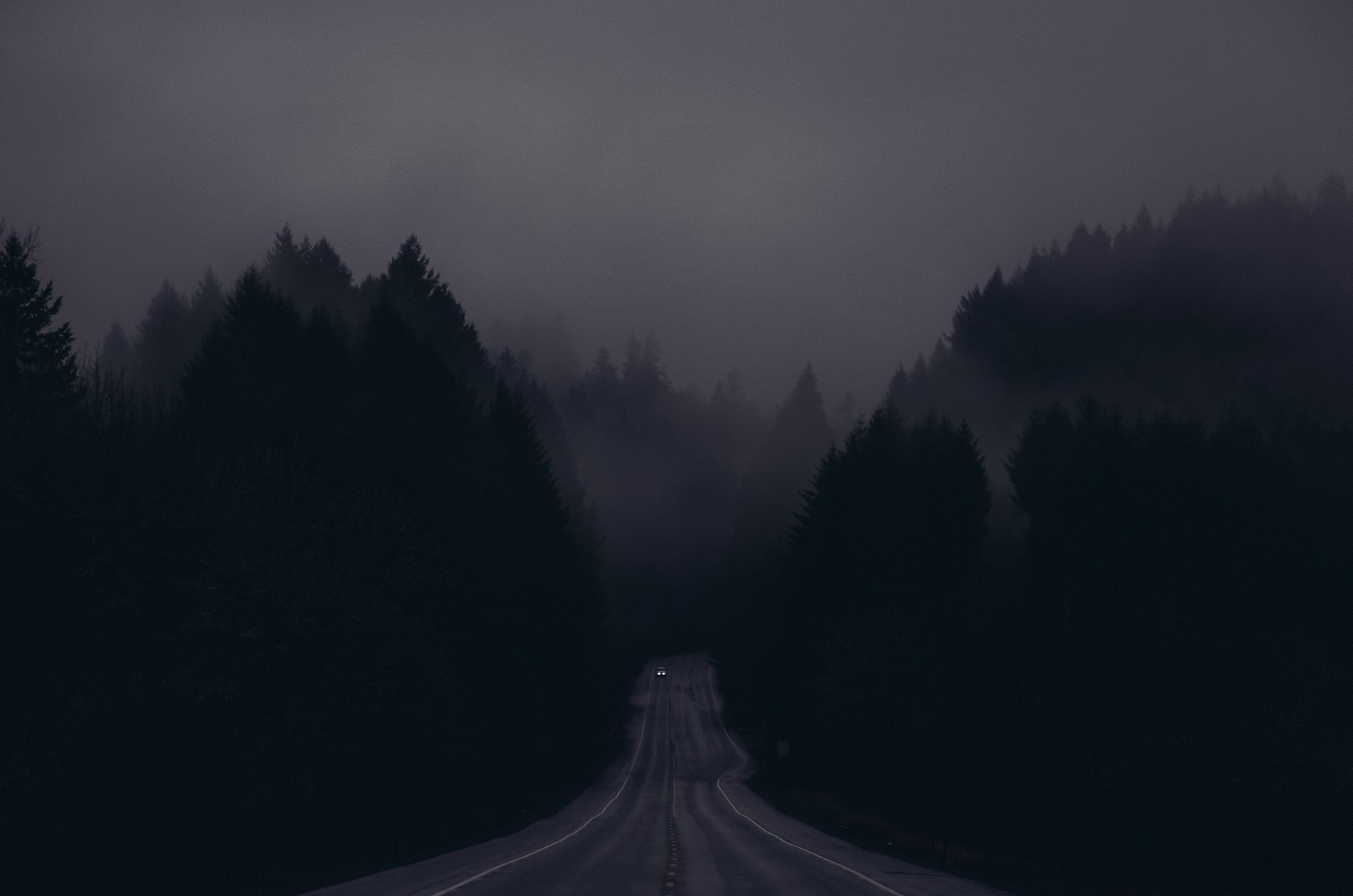 night, road, forest, mist, dark, trees, HD Wallpaper