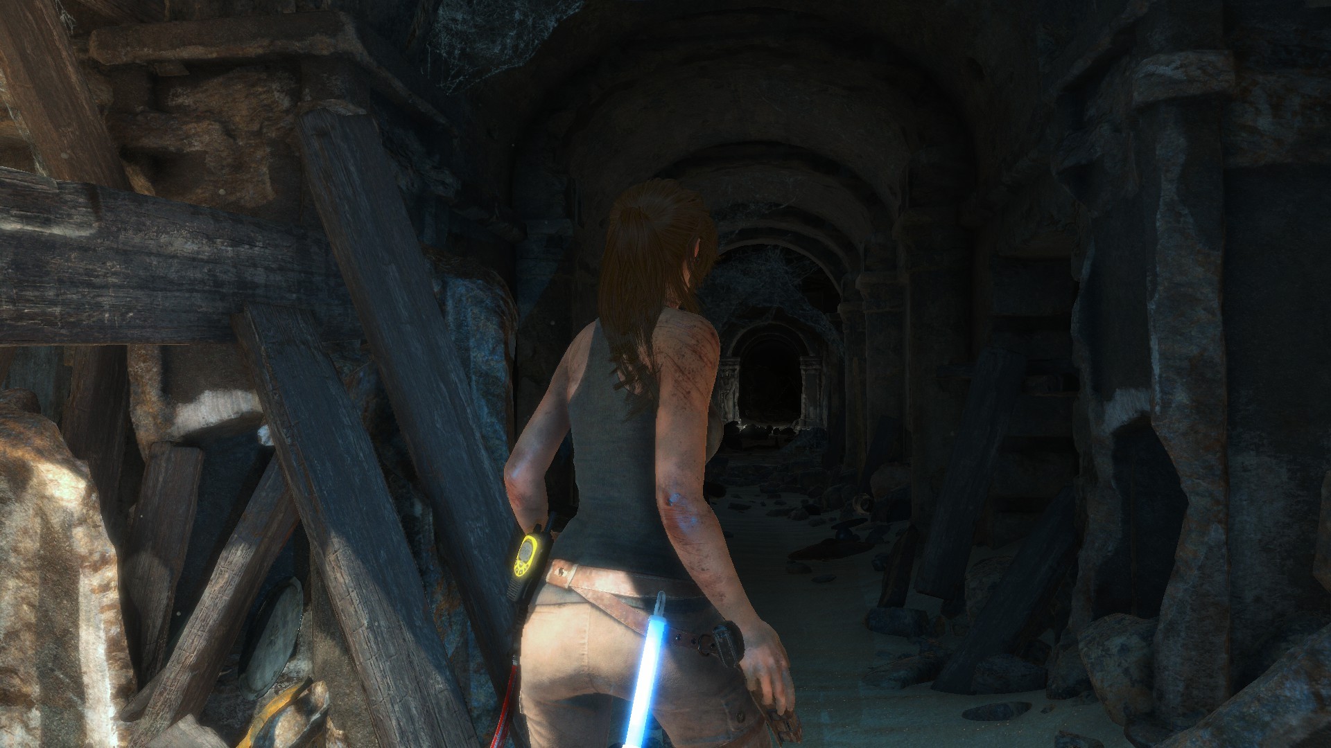 Rise of the Tomb Raider, Lara Croft, scars, rear view, tomb, HD Wallpaper