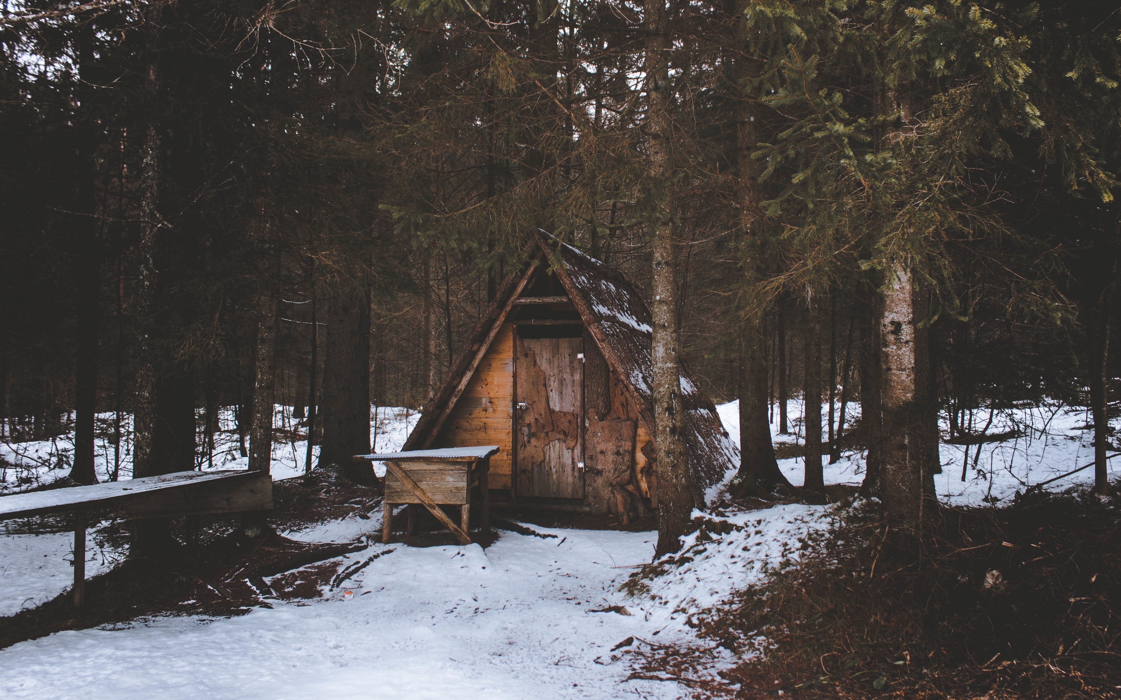 landscape, forest, house, snow, plants, cabin, winter, HD Wallpaper
