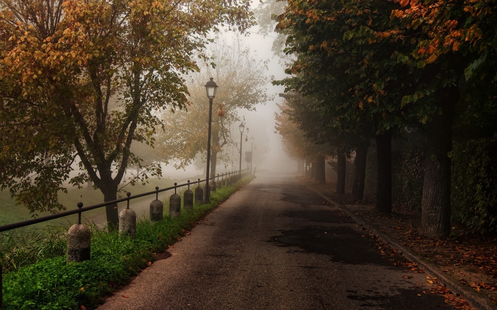 landscape, trees, plants, path, city, HD Wallpaper
