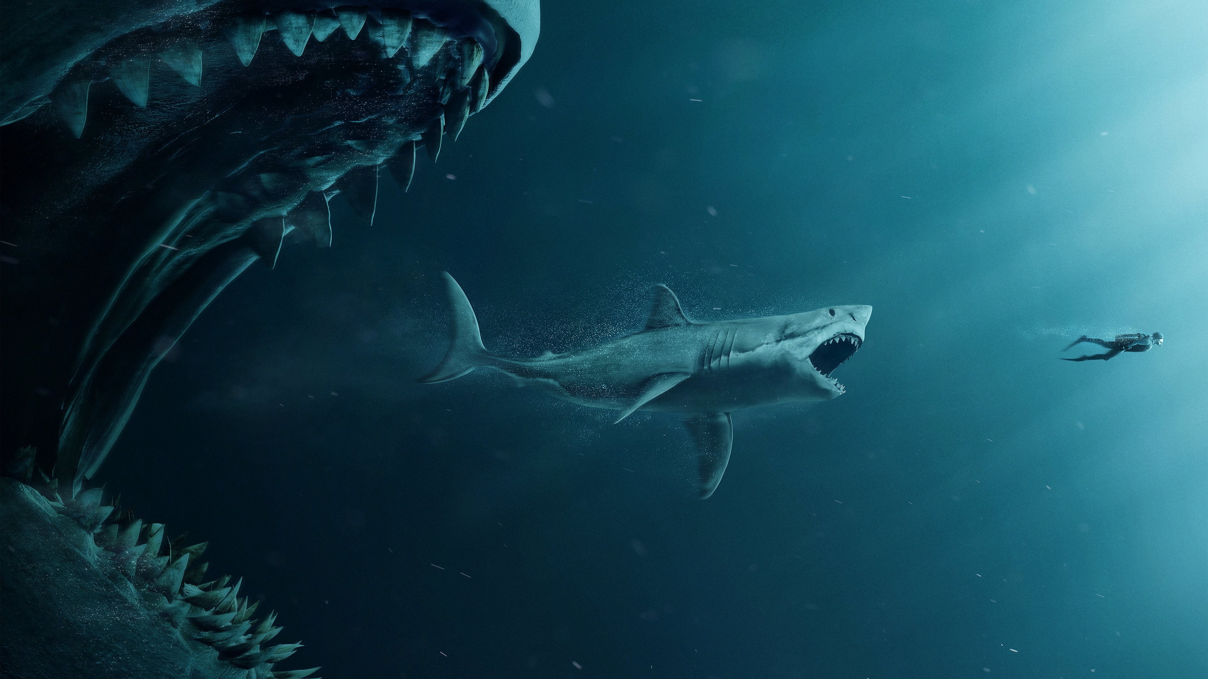 shark, sea, poster, artwork, underwater, turquoise, divers, HD Wallpaper