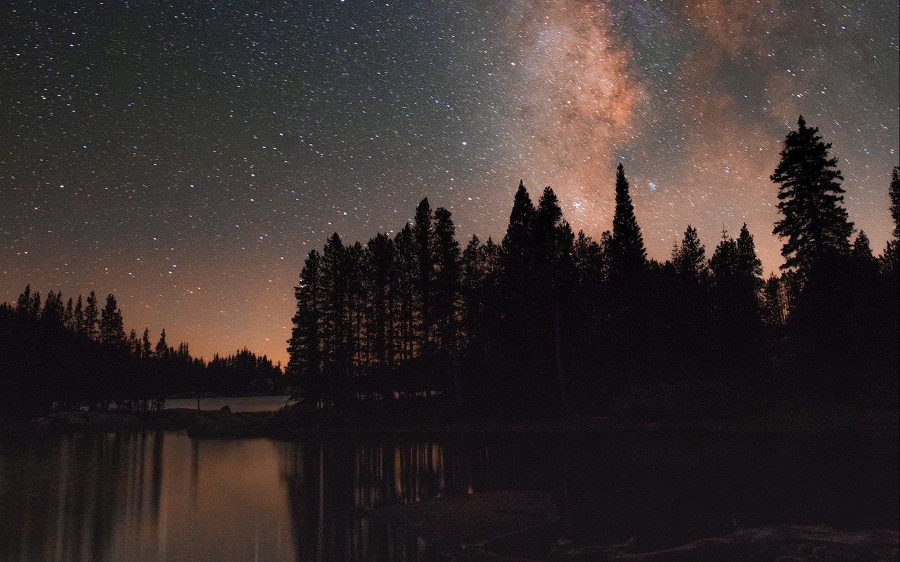 trees, water, lake, forest, sky, stars, HD Wallpaper
