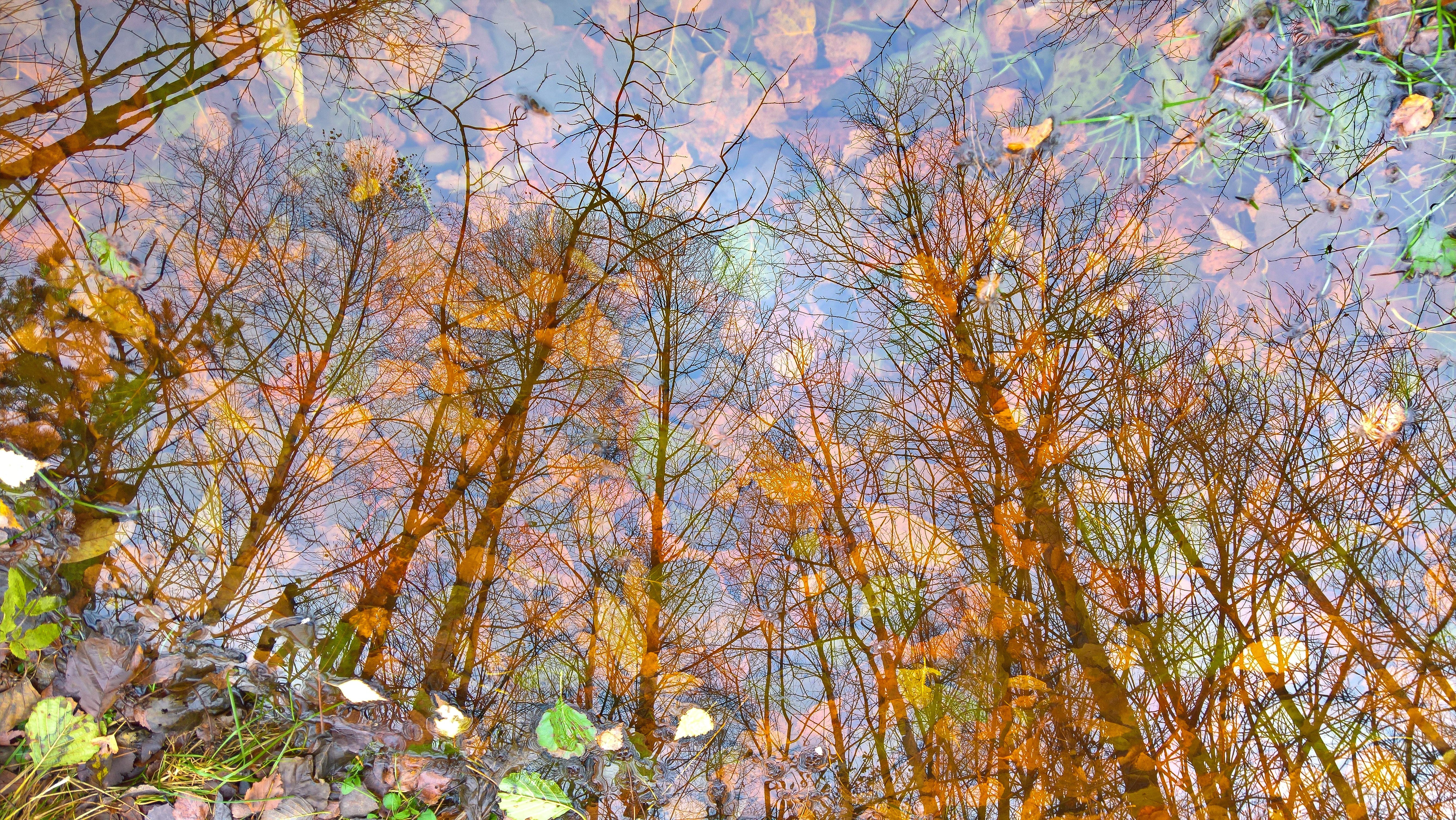 fall, leaves, trees, water, reflection, double exposure, HD Wallpaper