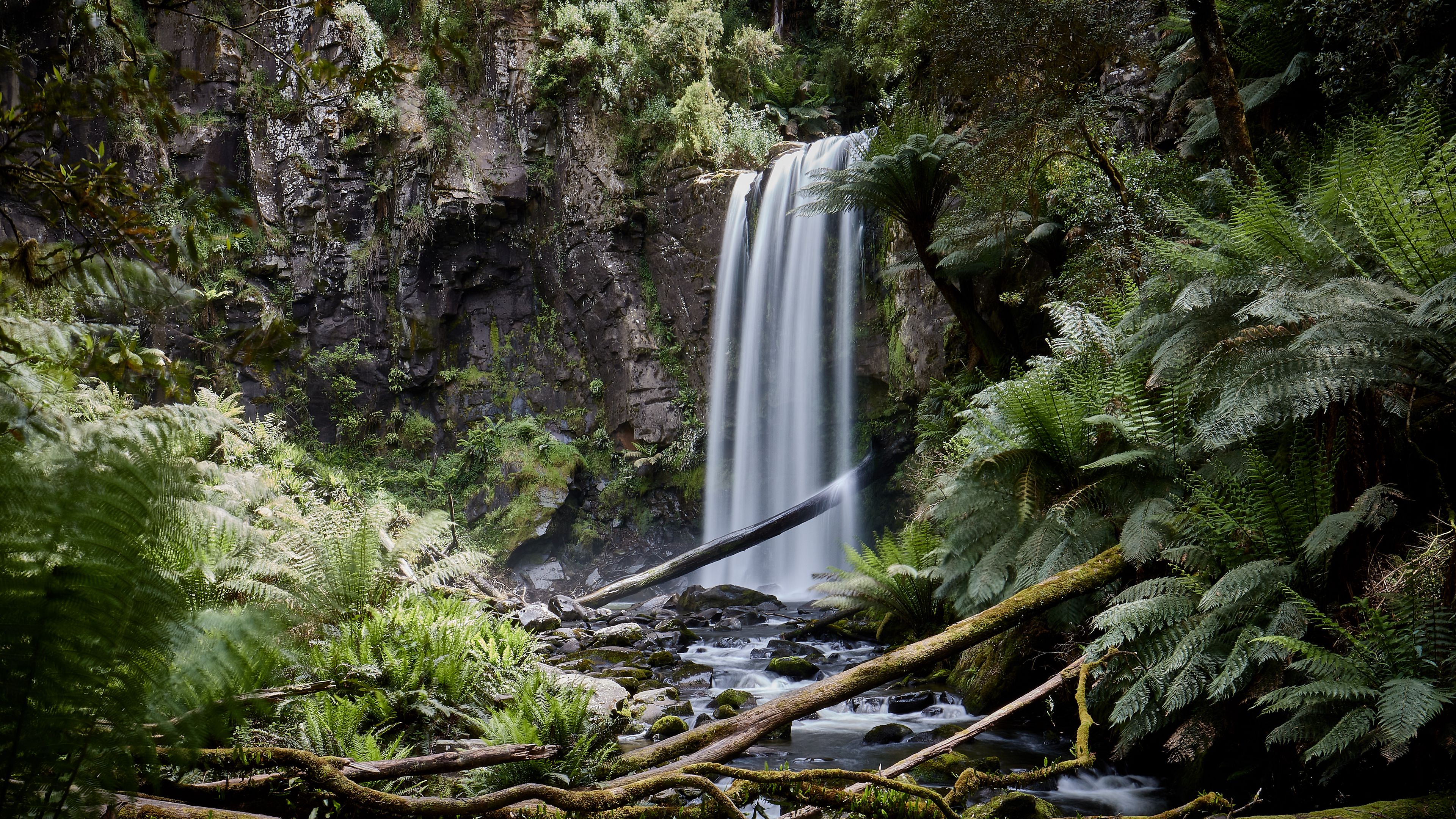waterfall, palm, fern, stones, 4k, HD Wallpaper