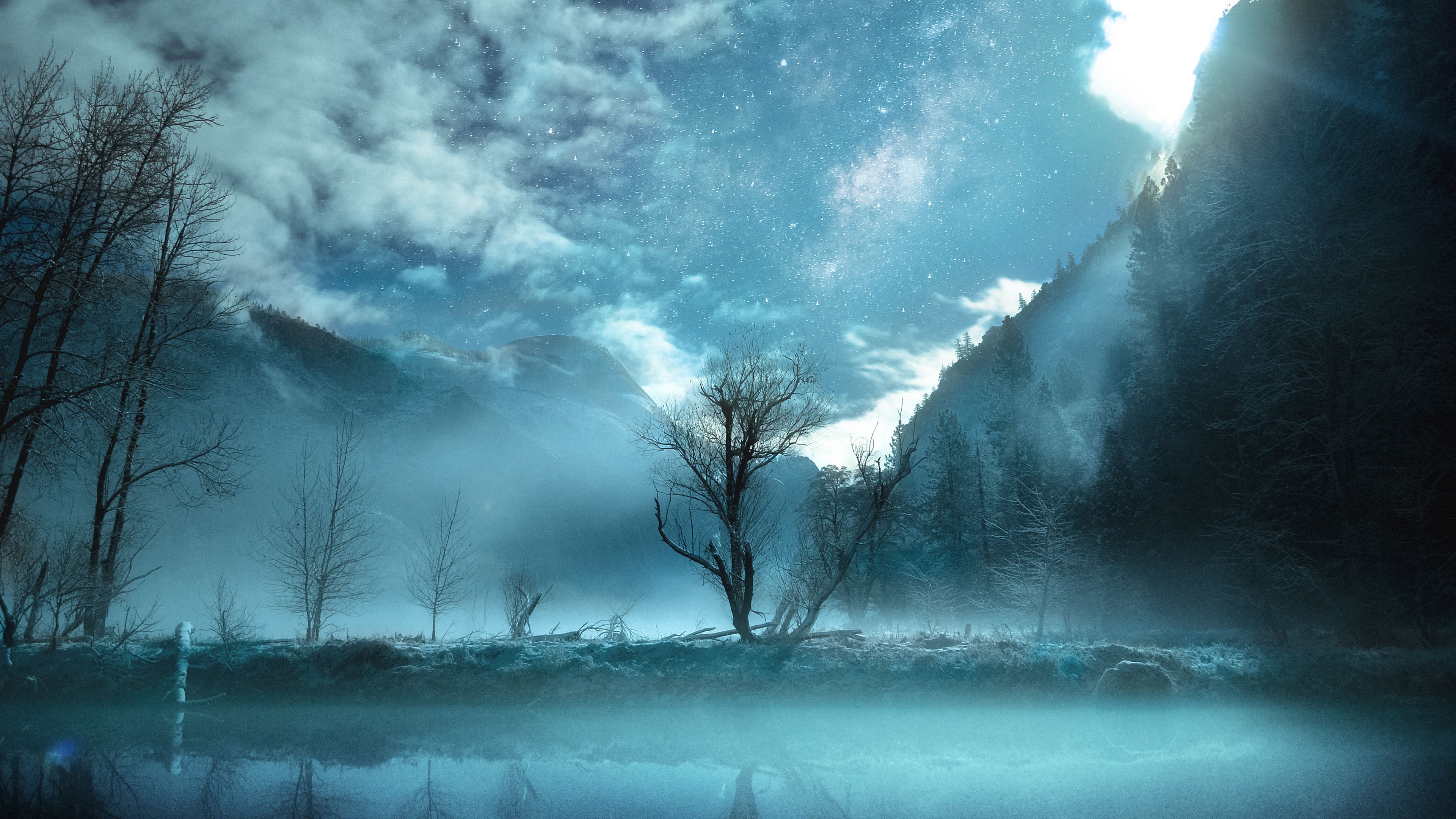 tree, fog, mountains, yosemite valley, usa, 4k, HD Wallpaper