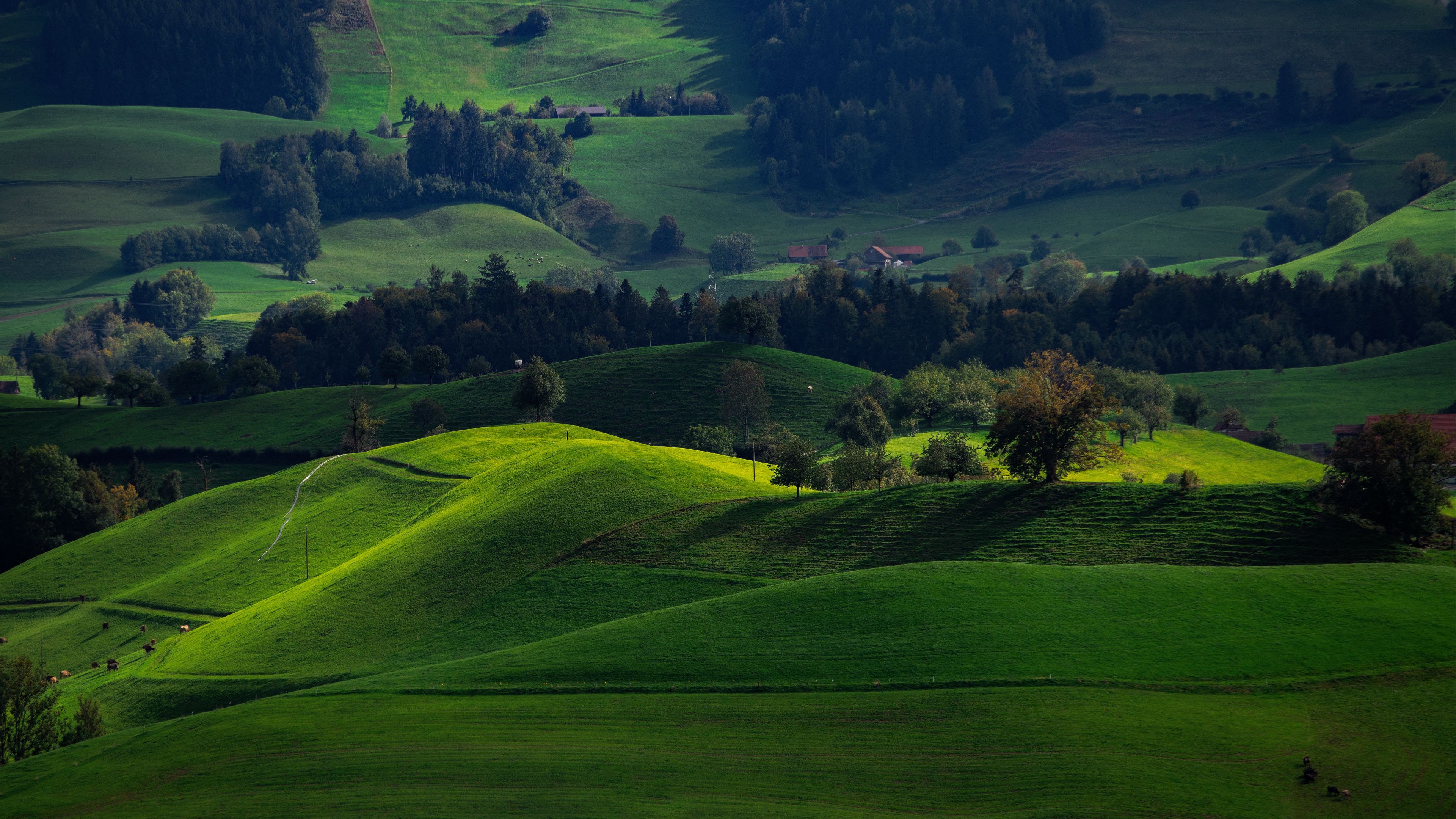 valley, green, field, hirzel, switzerland, 4k, HD Wallpaper