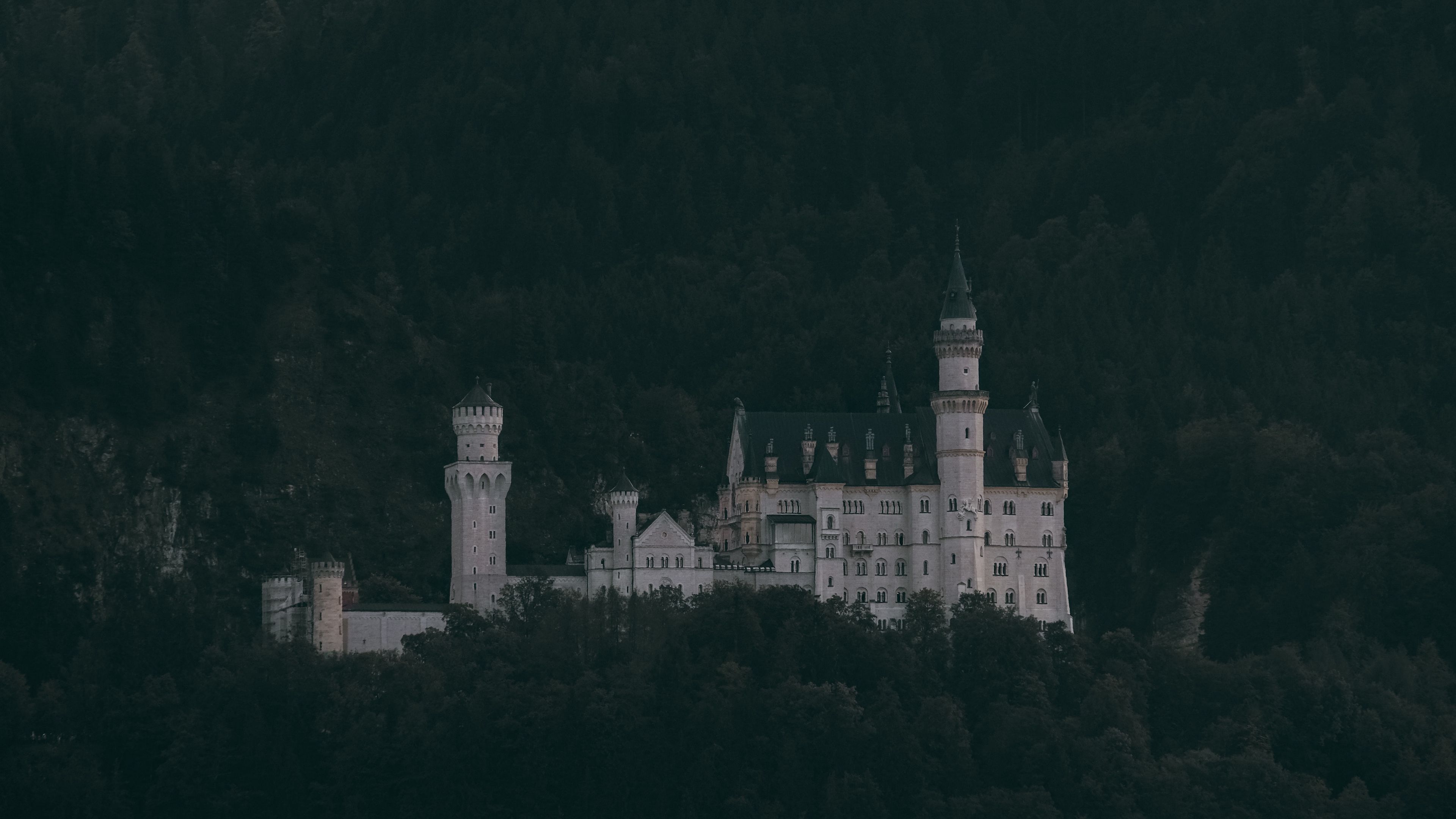 castle, trees, neuschwanstein castle, forest, mountains, schwangau, germany, 4k, HD Wallpaper
