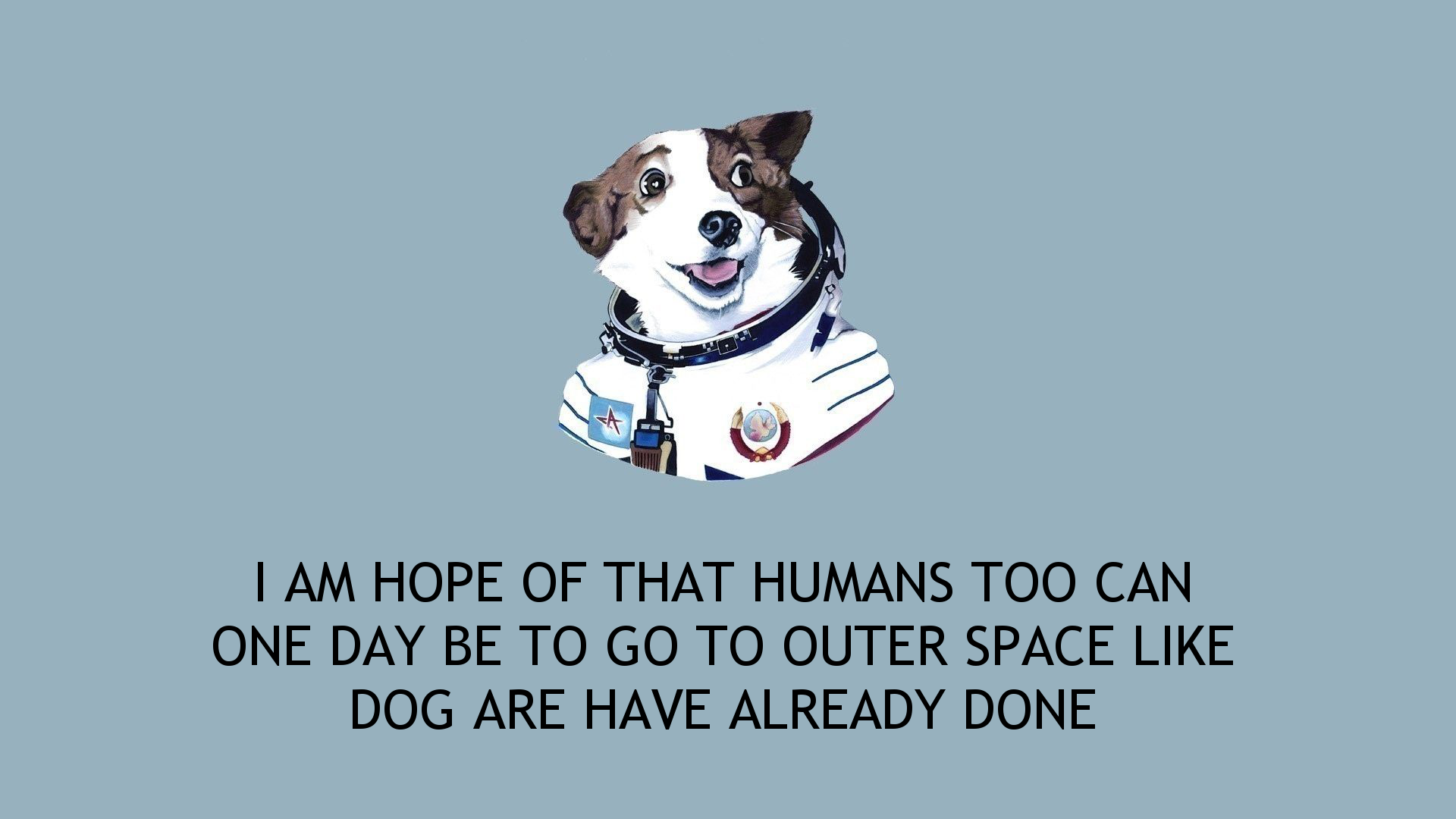 artwork, dog, spacesuit, Laika, text, HD Wallpaper