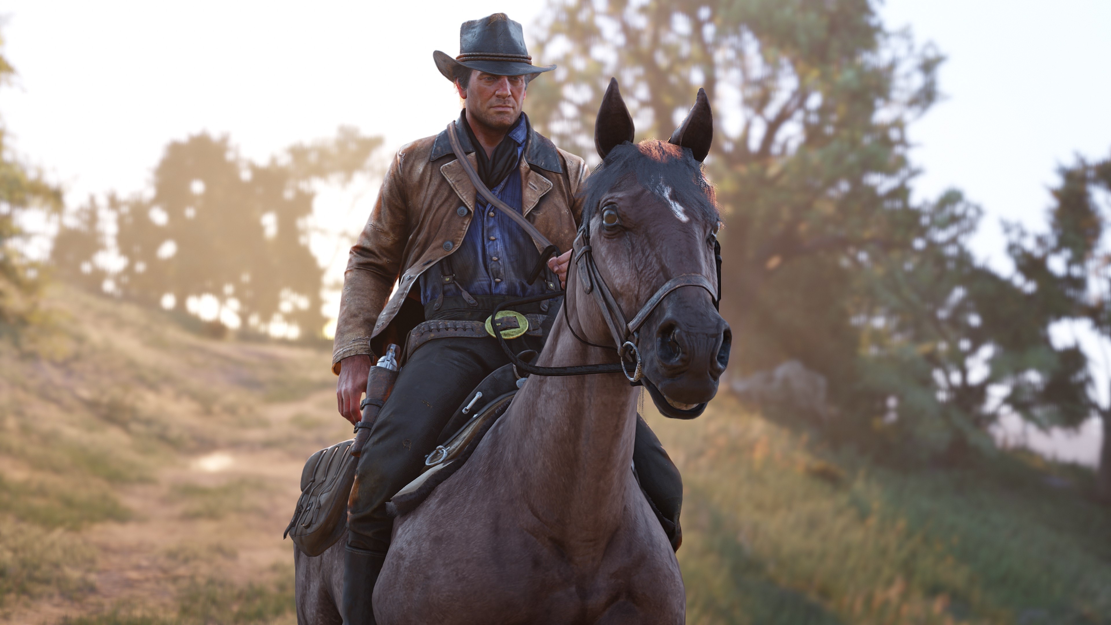 Red Dead Redemption, Rockstar Games, Red Dead Redemption 2, video games, HD Wallpaper