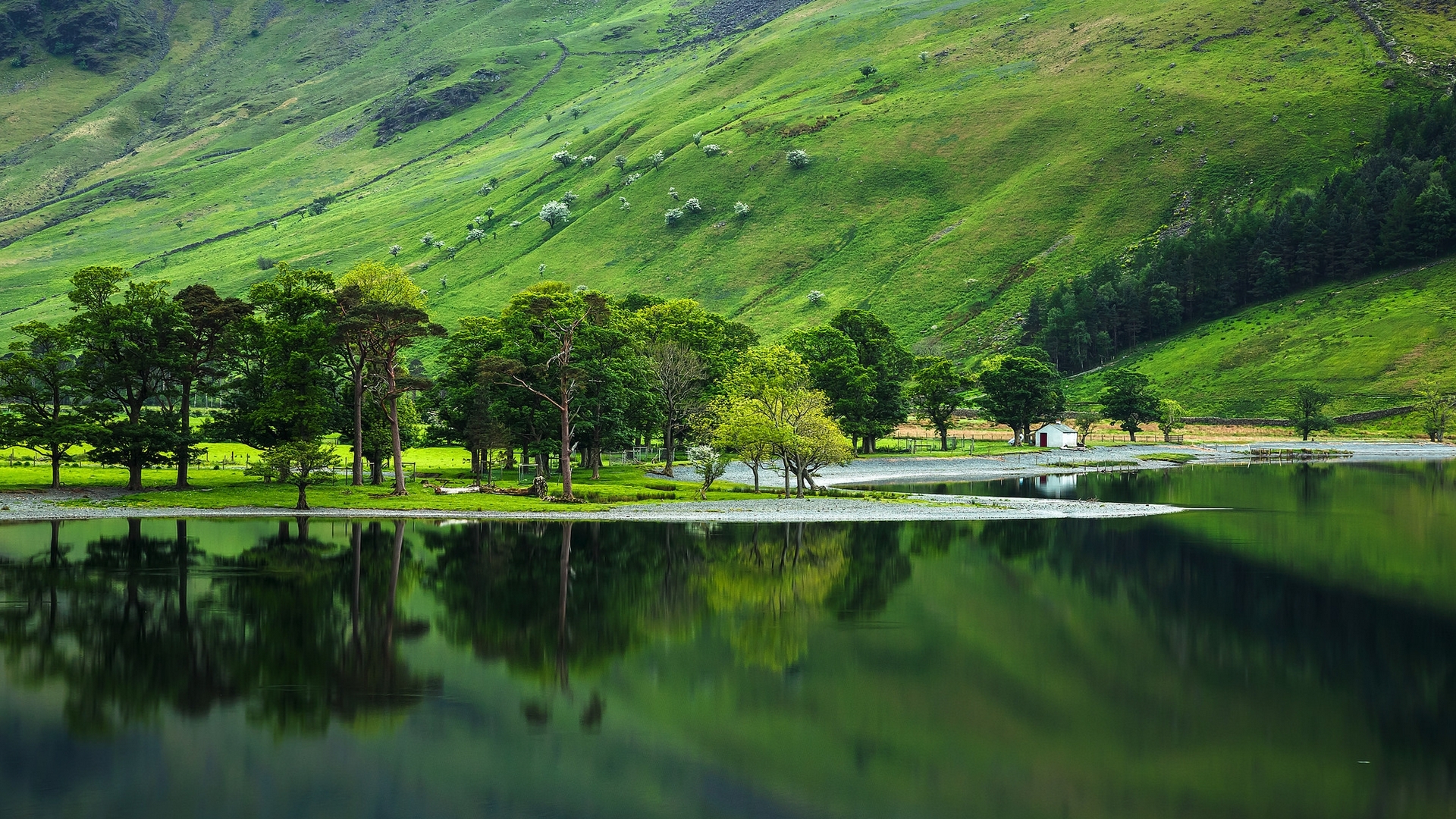 hills, trees, grass, lake, HD Wallpaper