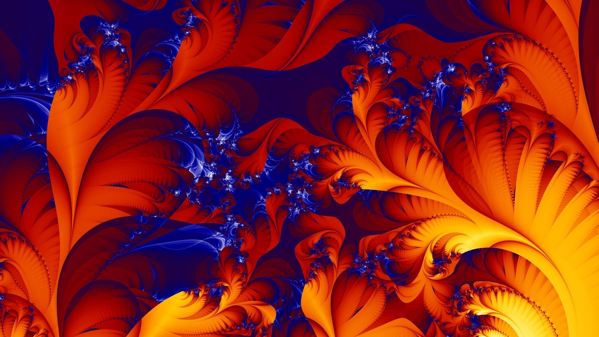 orange, texture, feather, abstract, lef, blue, HD Wallpaper