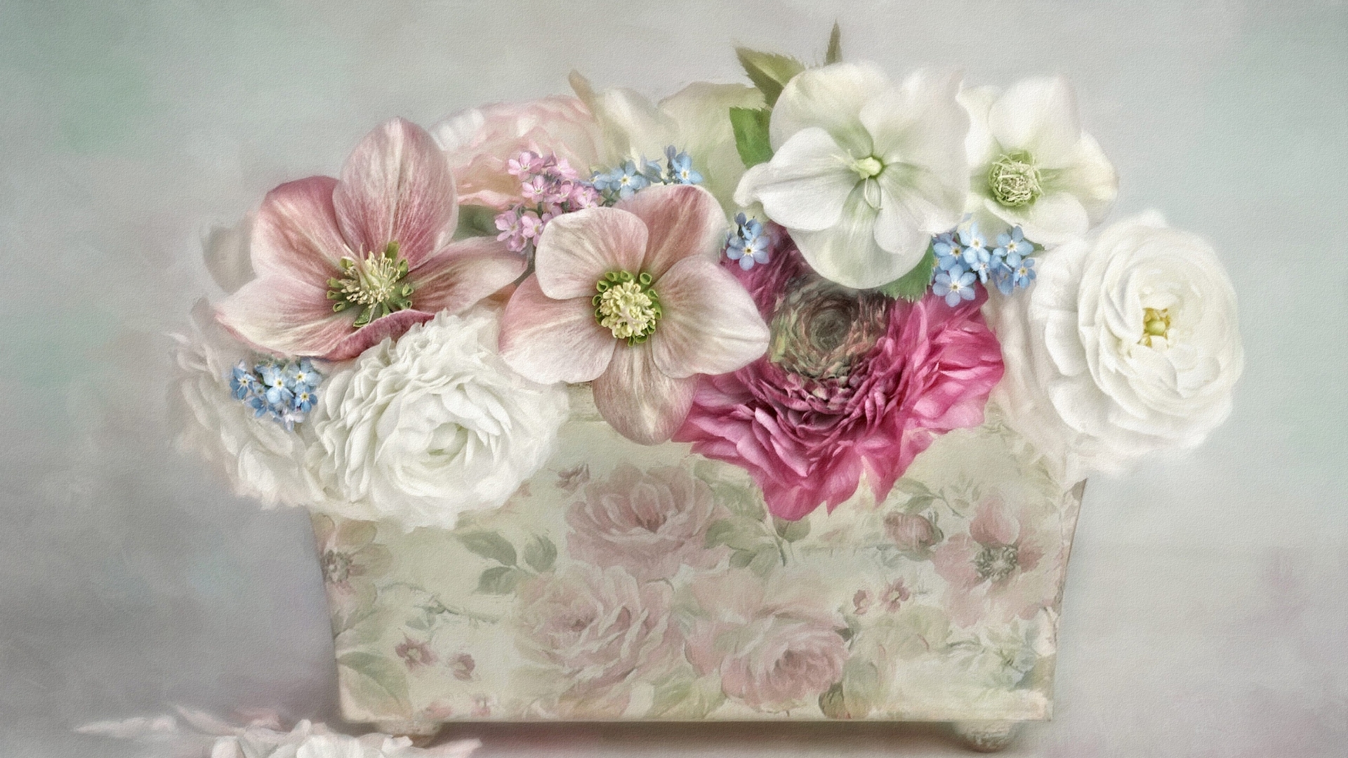 flower, vase, white, pink, still life, HD Wallpaper