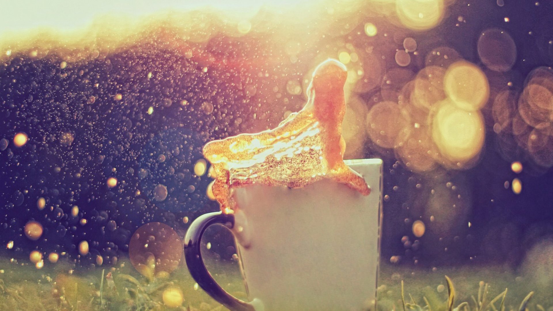 photo, cup, cool, coffee, HD Wallpaper