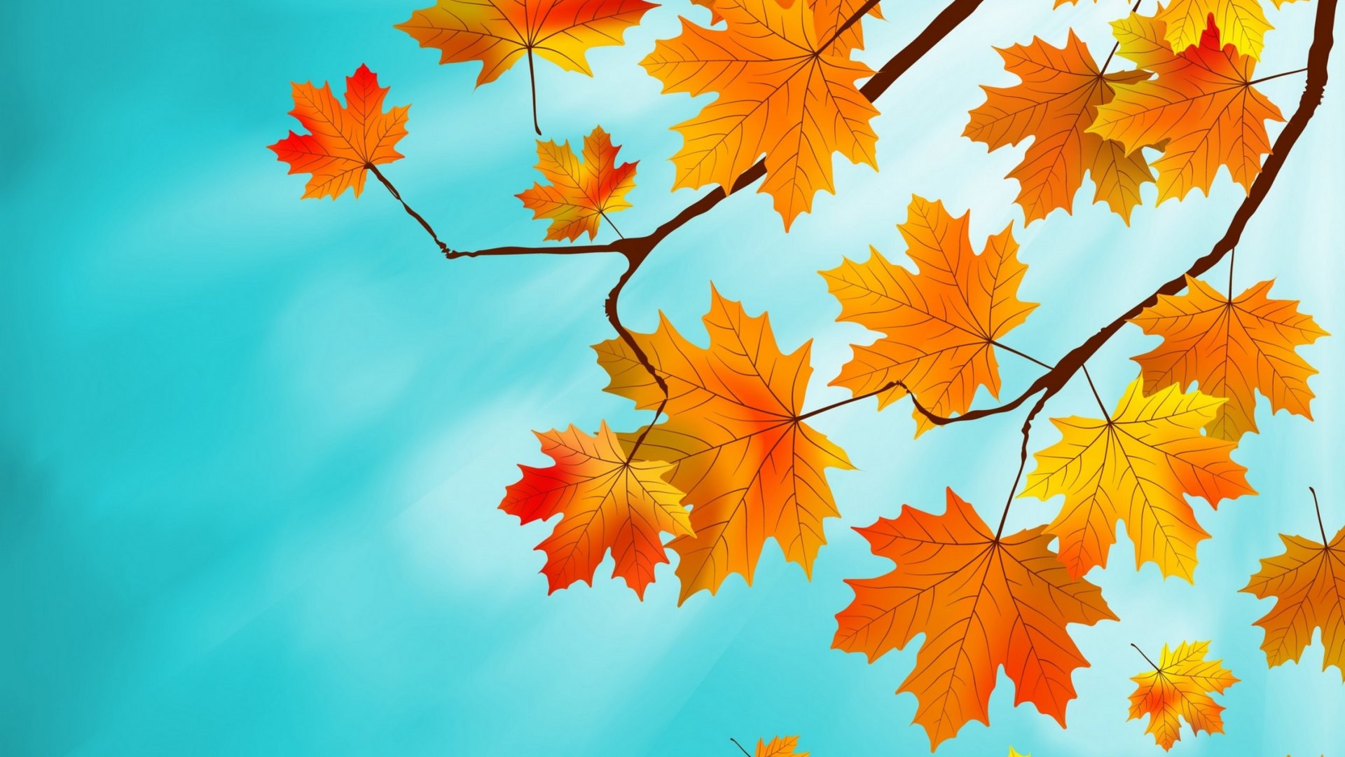 autumn, orange, sky, branch, blue, leaf, HD Wallpaper