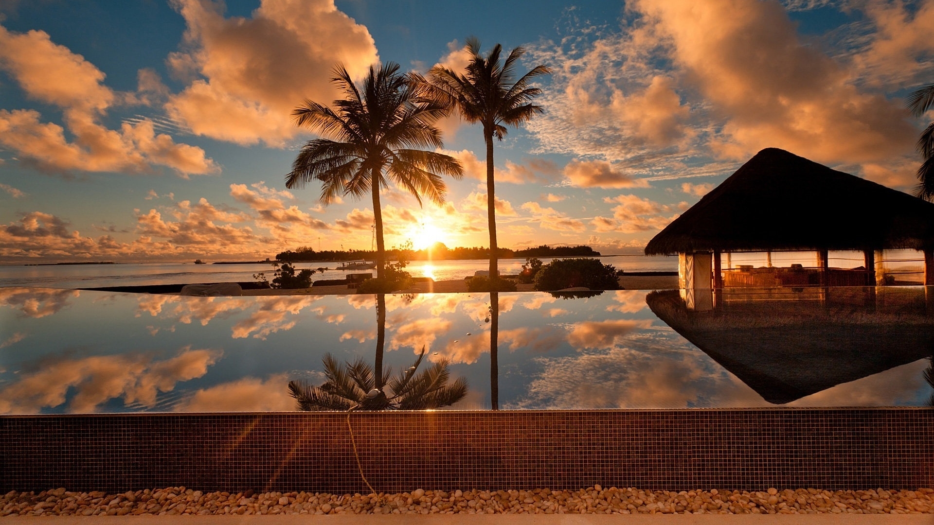 beach, nature, palm, sunset, reflection, trees, clouds, HD Wallpaper