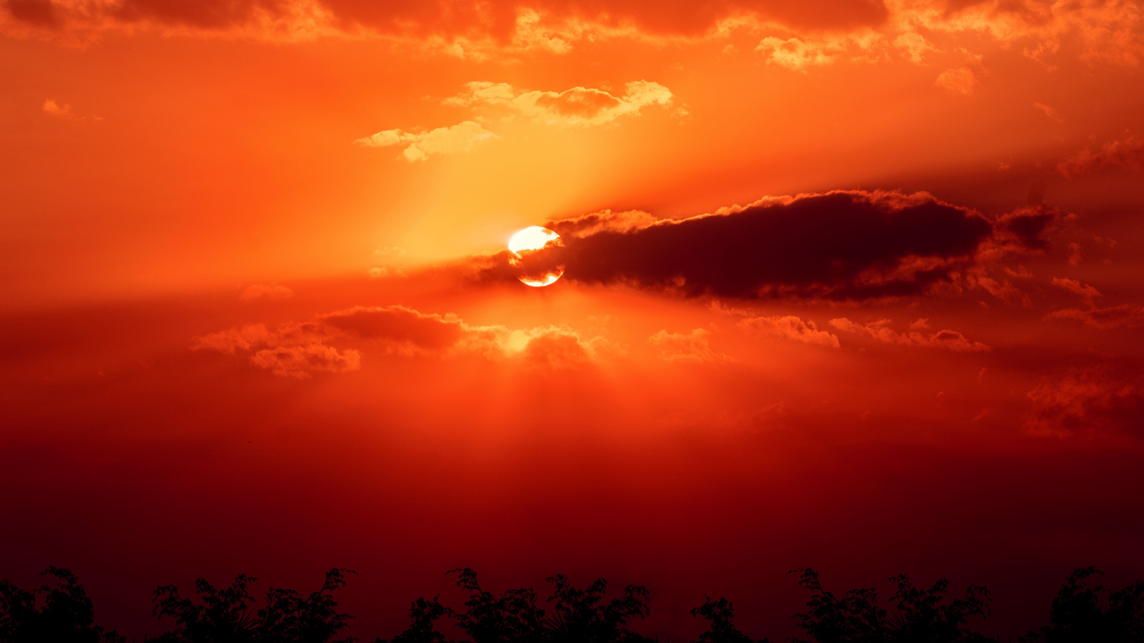 sunset, sun, clouds, horizon, sky, 4k, HD Wallpaper