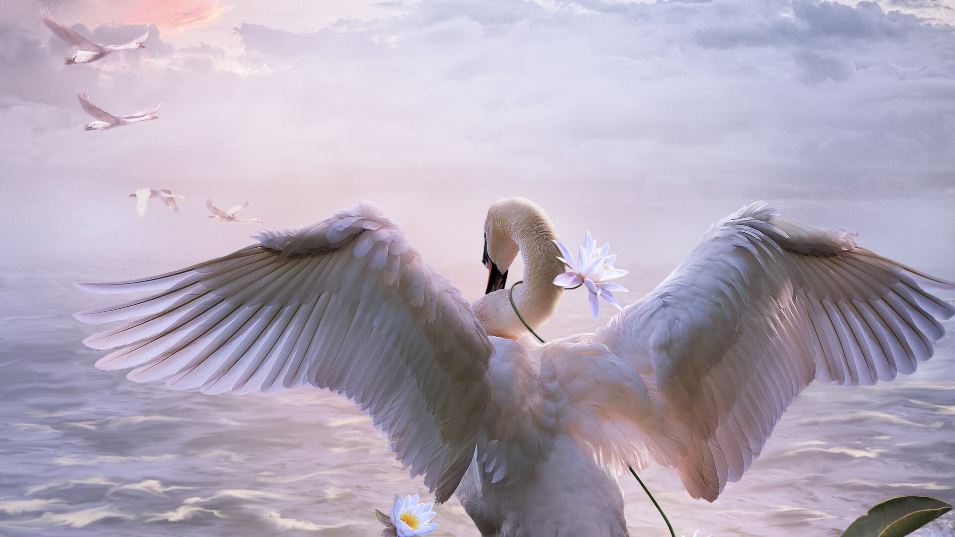 swan, white, art, wings, luminos, captive, vera chernyshova, lebada, water, fantasy, bird, pasari, flower, HD Wallpaper