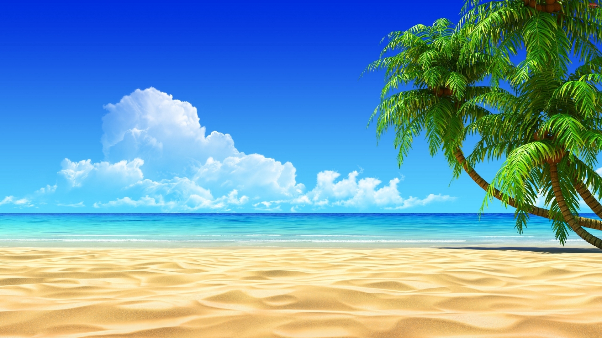 beach, sand, nature, palm, clouds, sea, HD Wallpaper