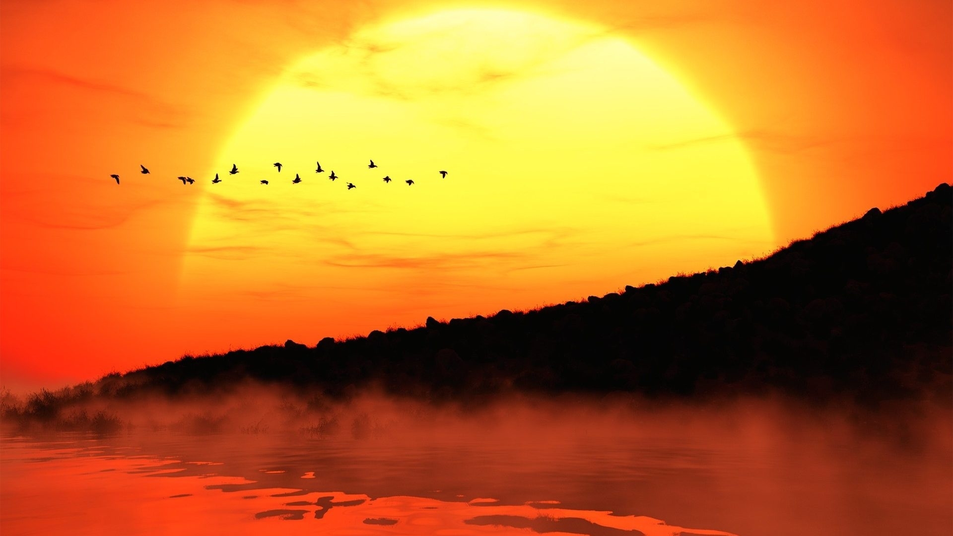 foggy, birds, sunset, trees, lake, fog, sea, mountains, nature, landscape, HD Wallpaper