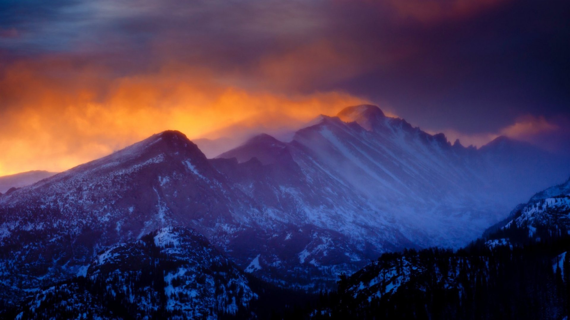 forest, snow, mountains, winter, HD Wallpaper