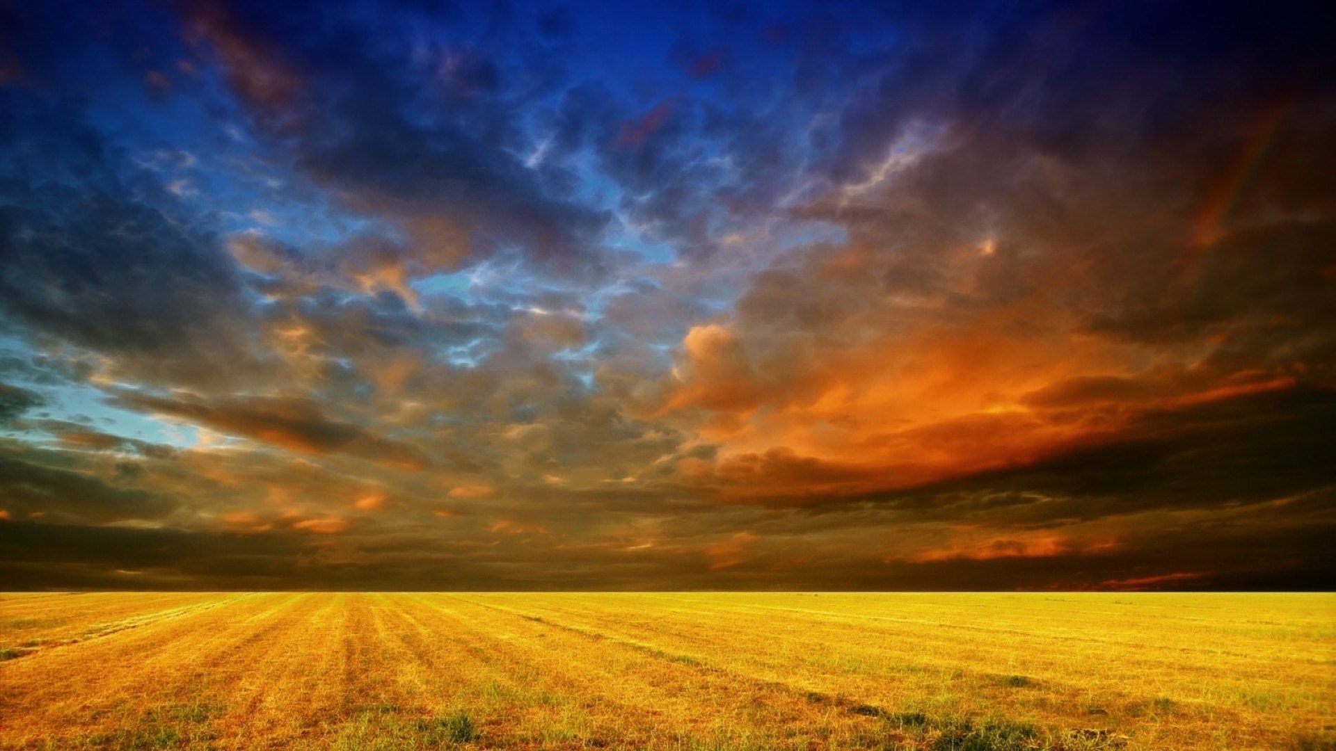 yellow, fields, sky, clouds, HD Wallpaper