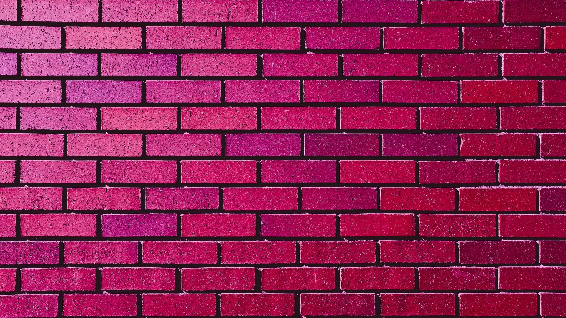 wall, brick, texture, wesley tingey, pink, HD Wallpaper
