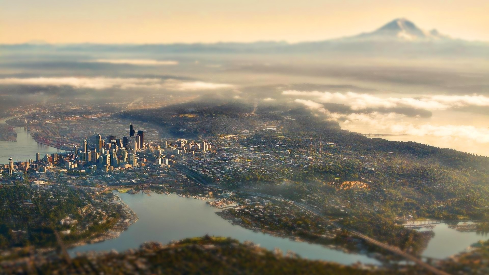 city, view, focus, aerial, skyscrapers, HD Wallpaper